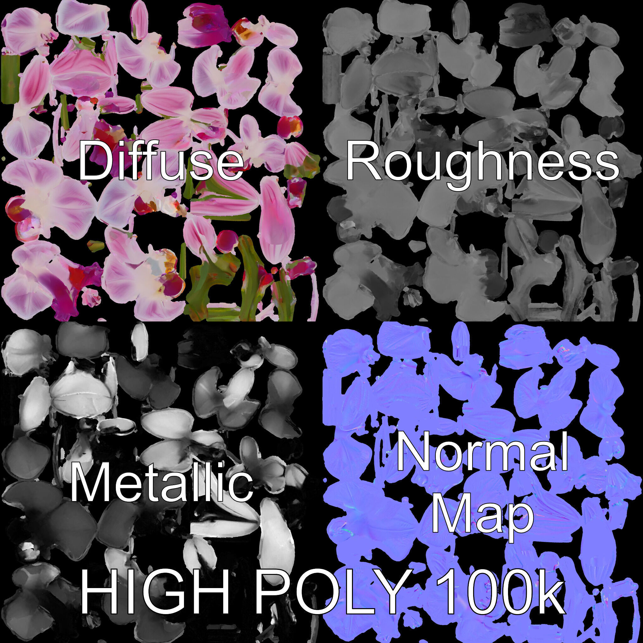 Orchid Flower Model Pack with HighResolution Details Low-poly 3D model_4