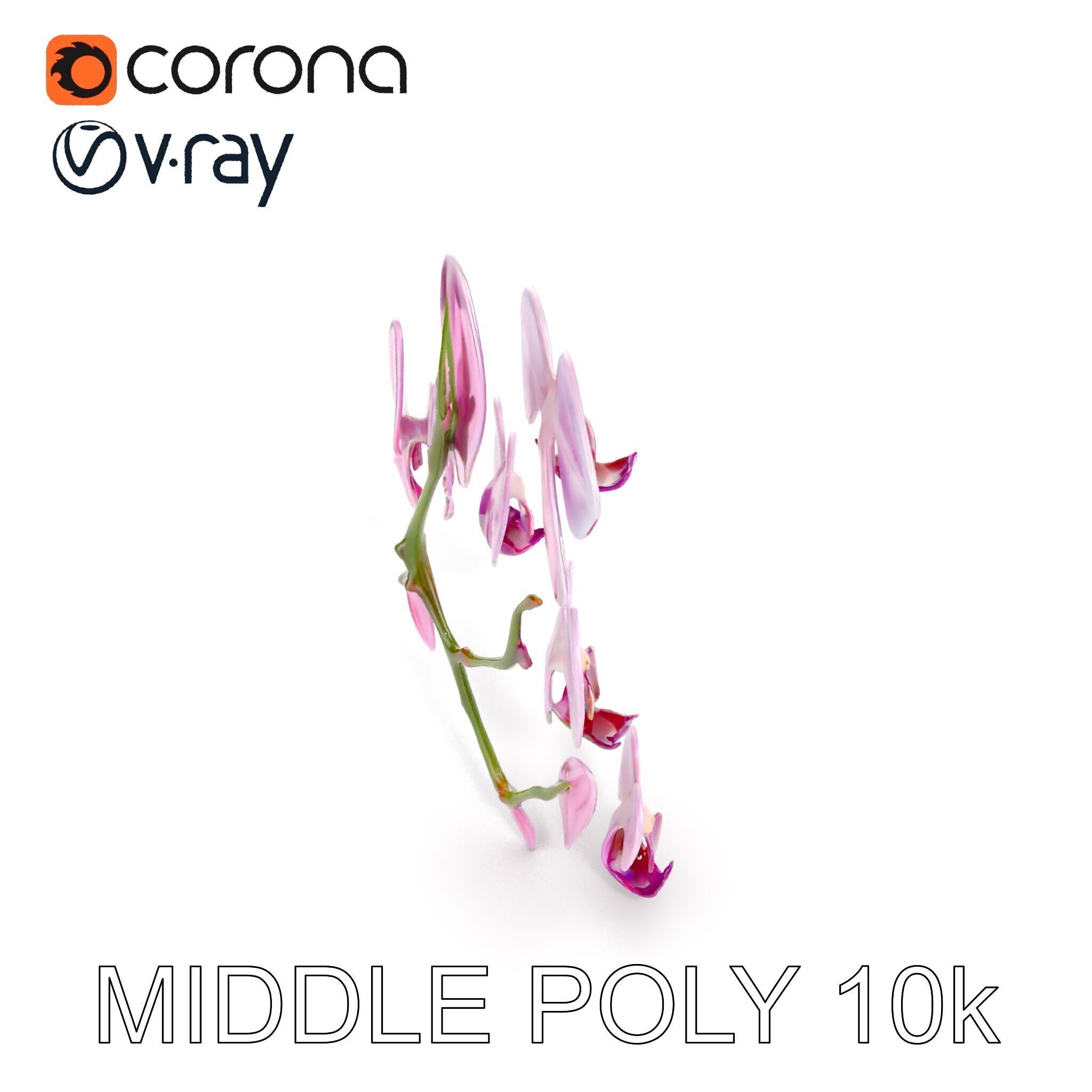 Orchid Flower Model Pack with HighResolution Details Low-poly 3D model_17