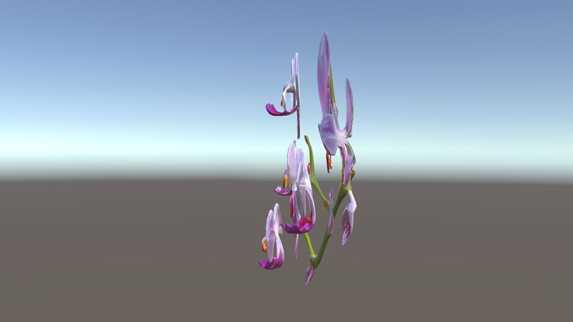 Orchid Flower Model Pack with HighResolution Details Low-poly 3D model_34