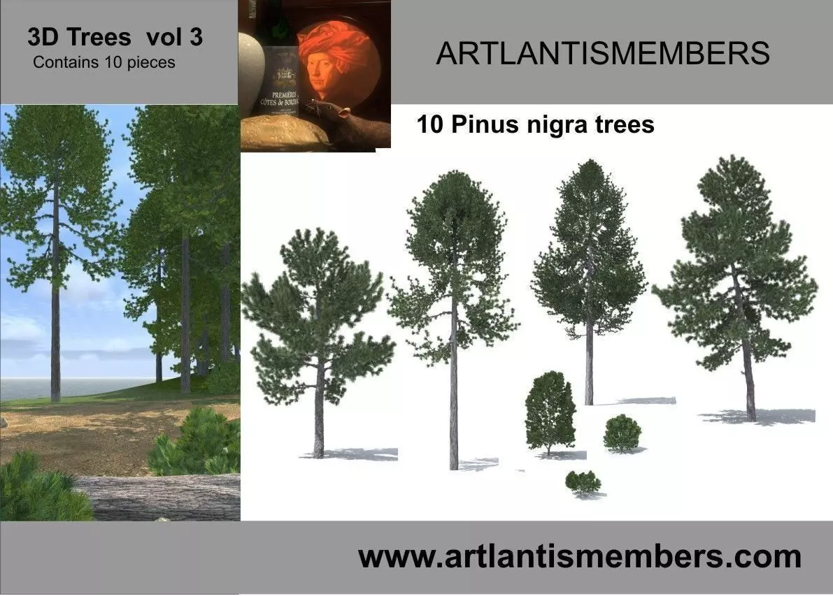 tree vol3 3D model_0