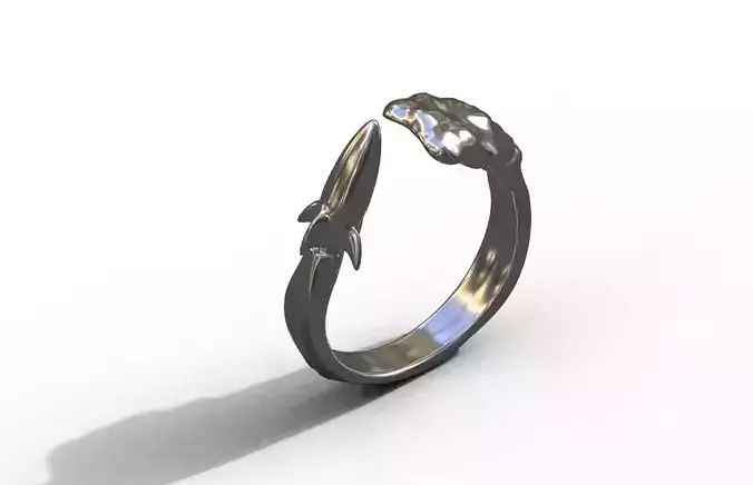 High-Quality 3D Ring Jet Model