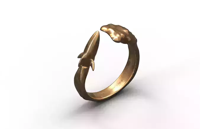 High-Quality 3D Ring Jet Model