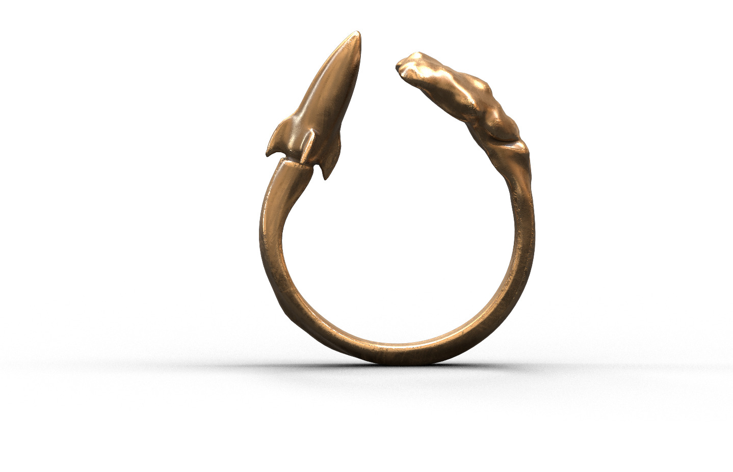 High-Quality 3D Ring Jet Model Low-poly 3D model_1