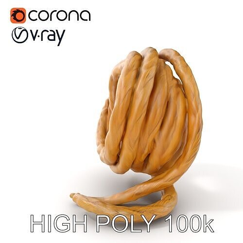 Realistic Rope Model Pack for D Rendering and Game Design Low-poly 3D model