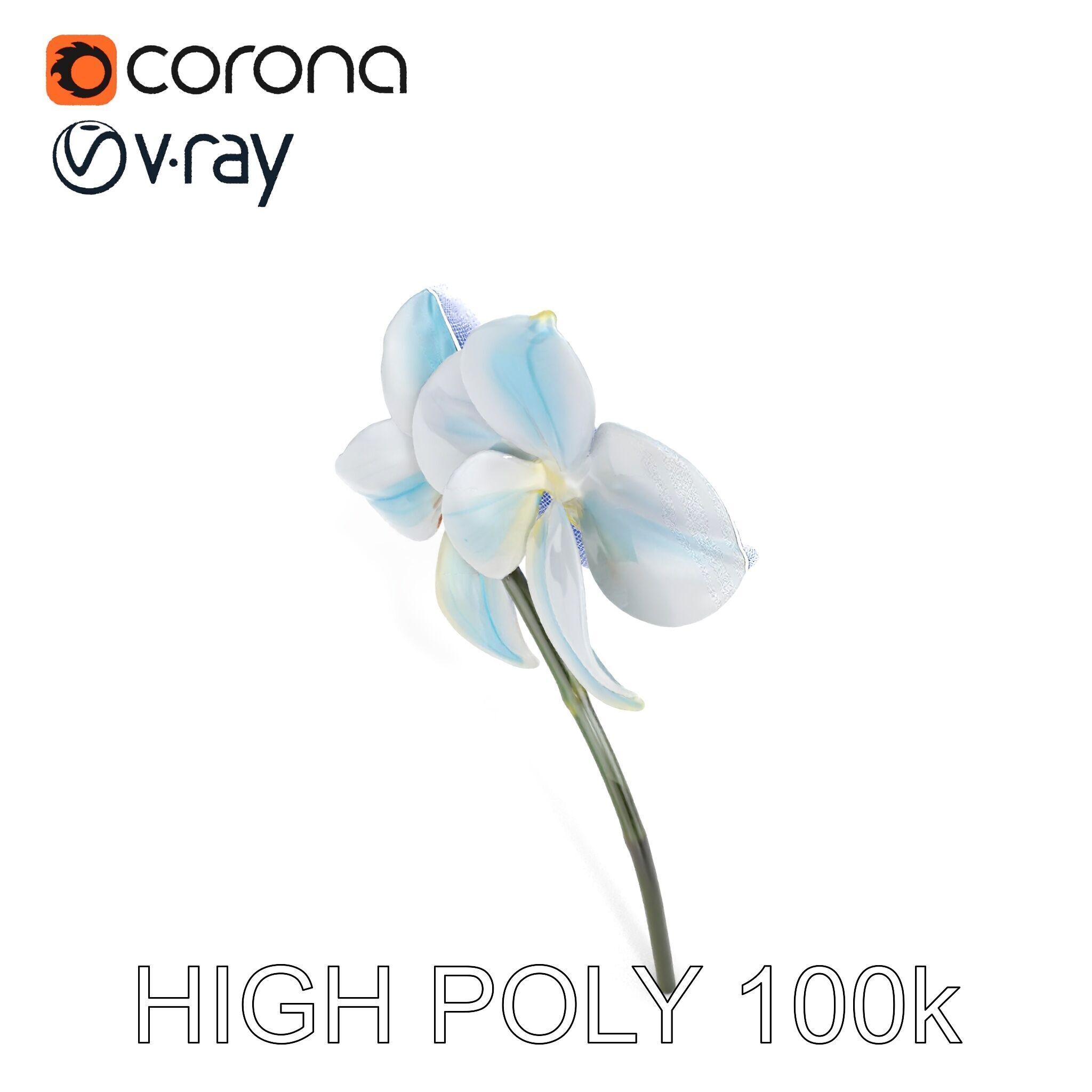 White Orchid D Model Pack with Realistic Textures Low-poly 3D model_35
