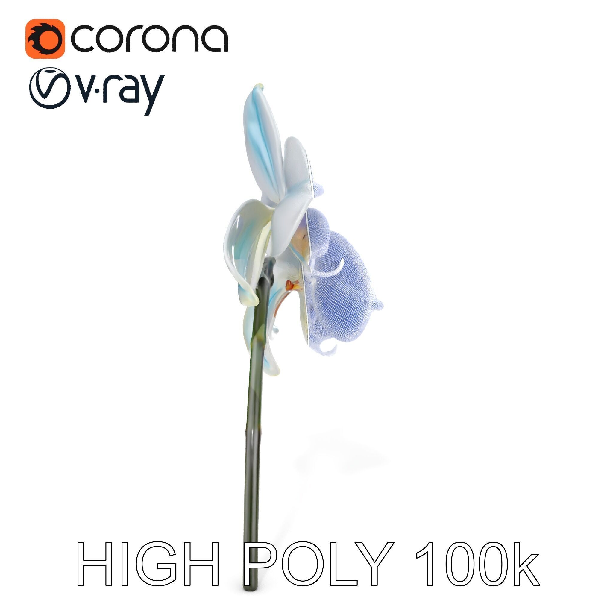 White Orchid D Model Pack with Realistic Textures Low-poly 3D model_32