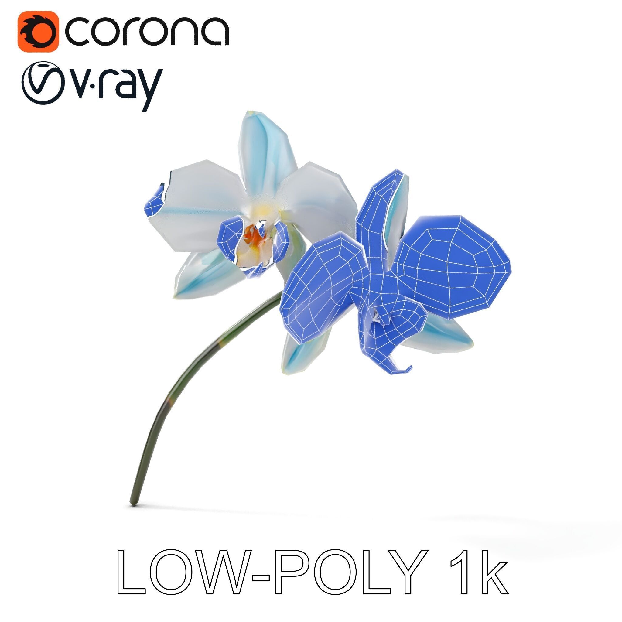 White Orchid D Model Pack with Realistic Textures Low-poly 3D model_25