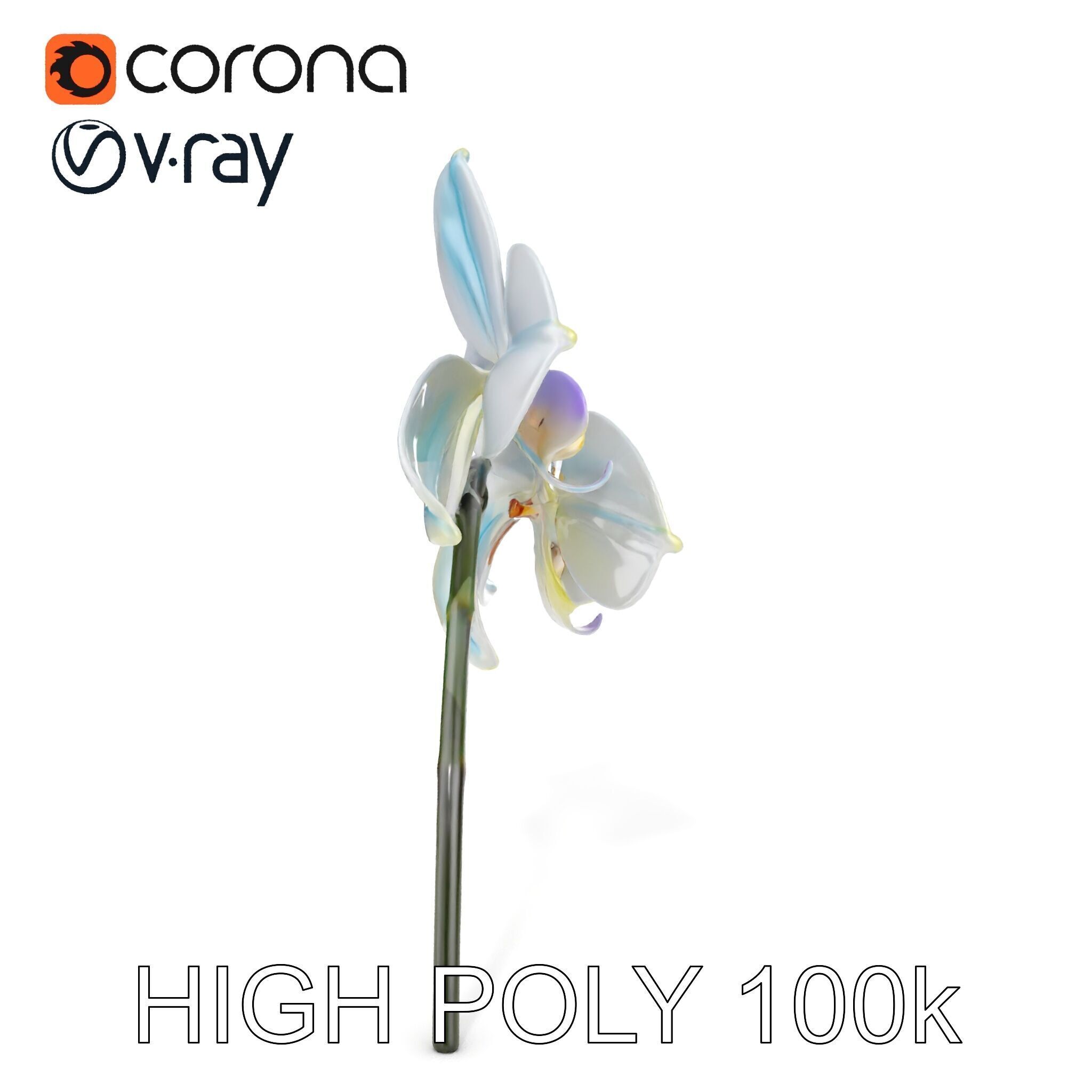 White Orchid D Model Pack with Realistic Textures Low-poly 3D model_23
