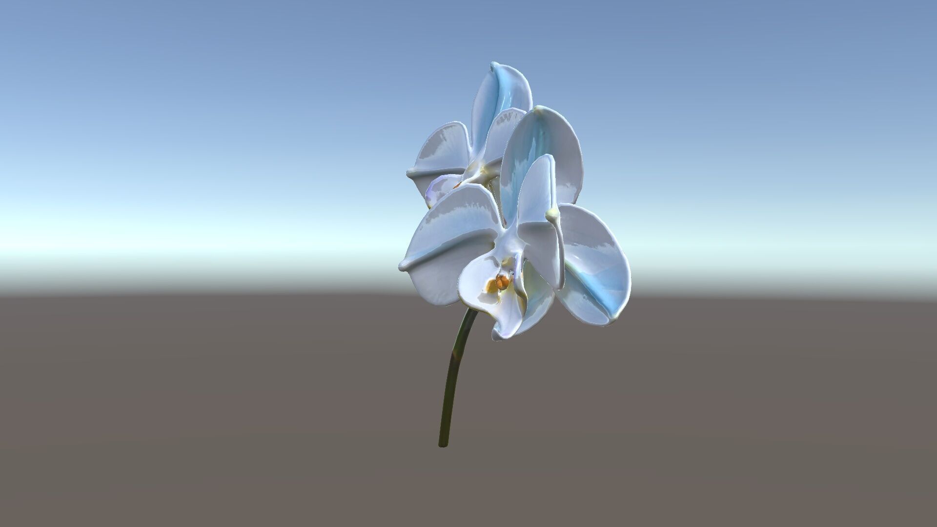 White Orchid D Model Pack with Realistic Textures Low-poly 3D model_33