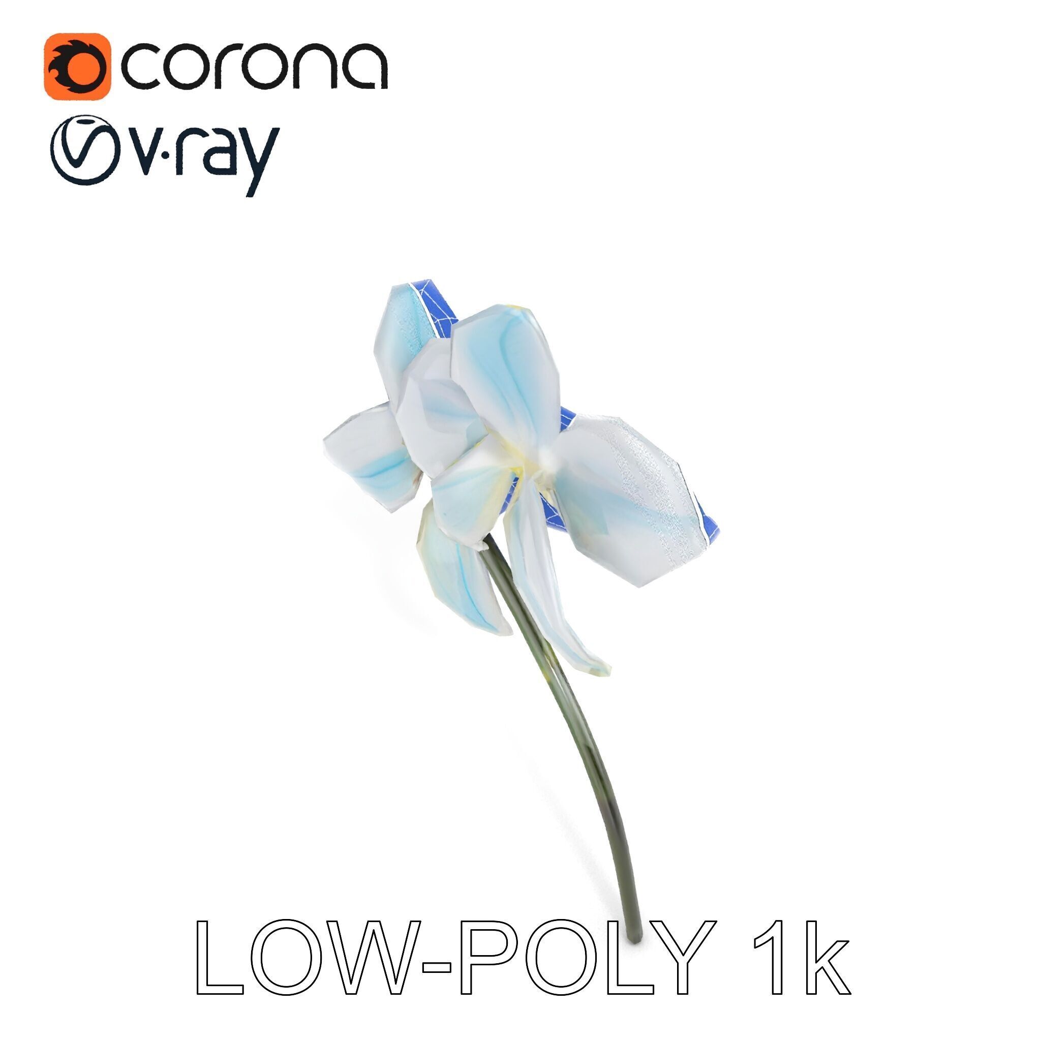 White Orchid D Model Pack with Realistic Textures Low-poly 3D model_17