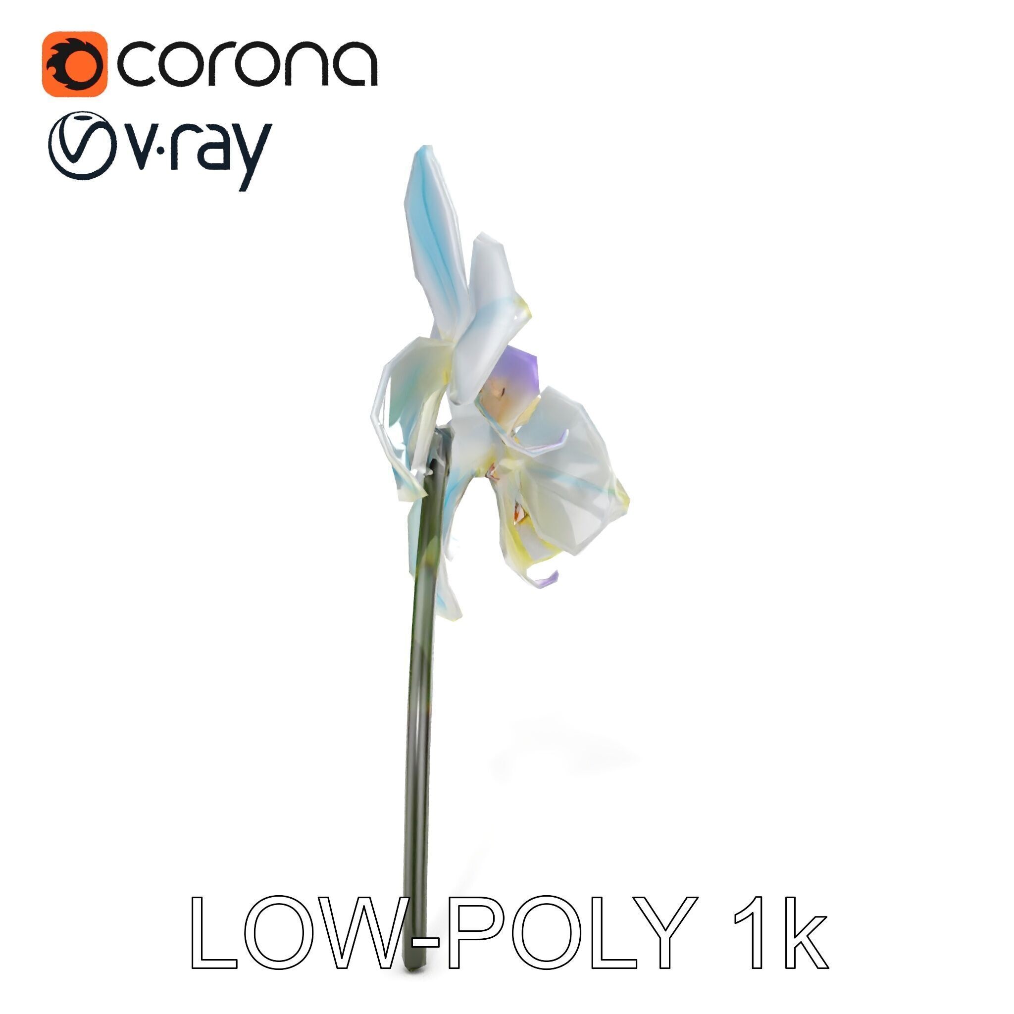 White Orchid D Model Pack with Realistic Textures Low-poly 3D model_15