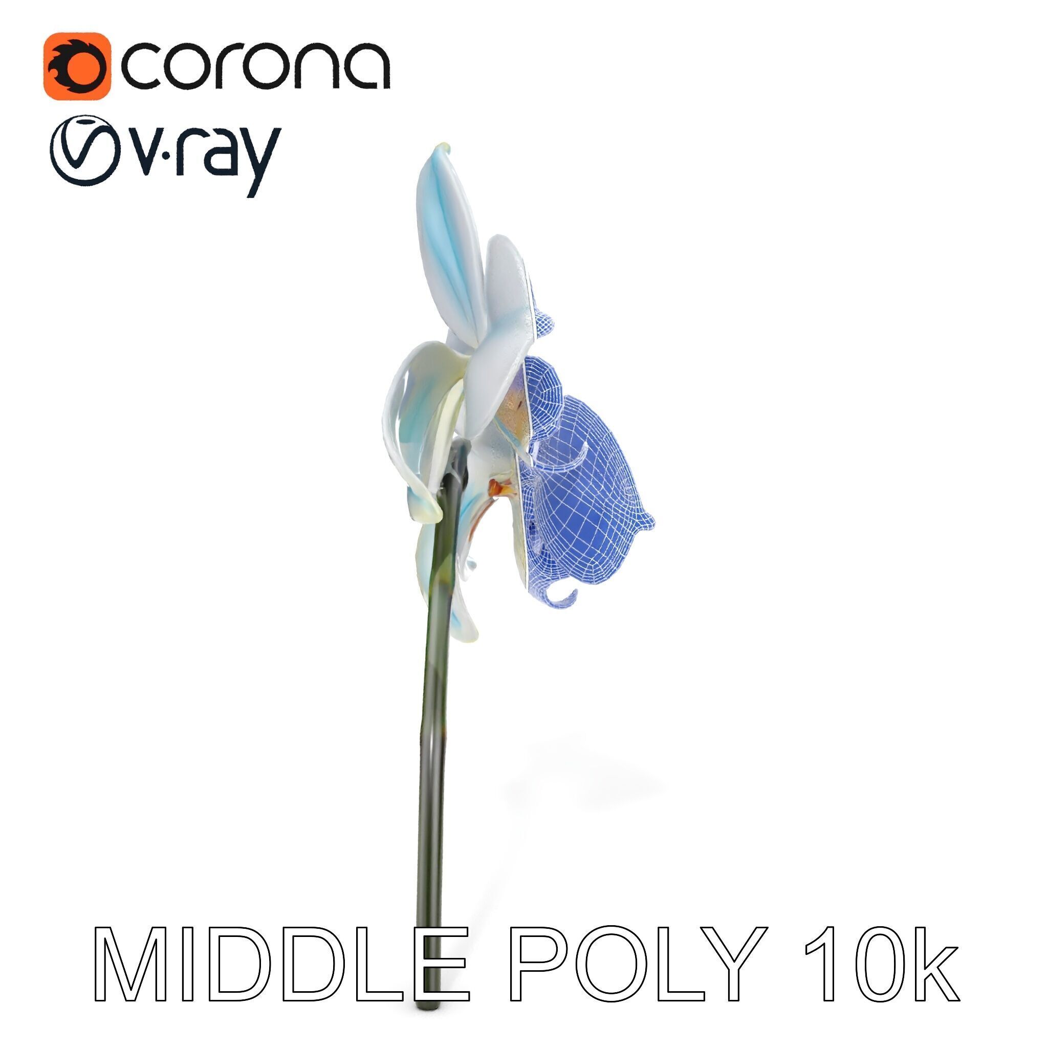 White Orchid D Model Pack with Realistic Textures Low-poly 3D model_30