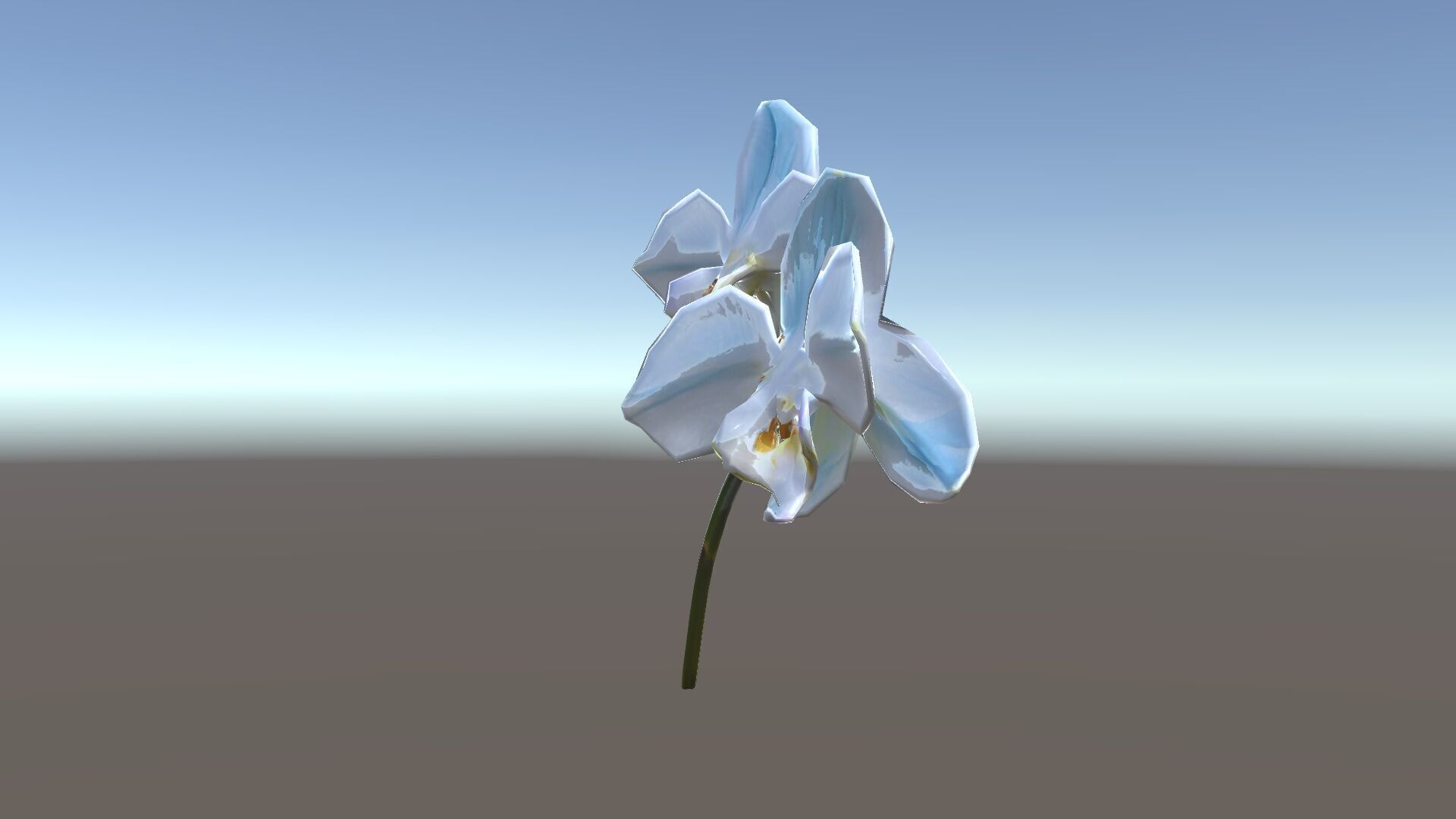 White Orchid D Model Pack with Realistic Textures Low-poly 3D model_34
