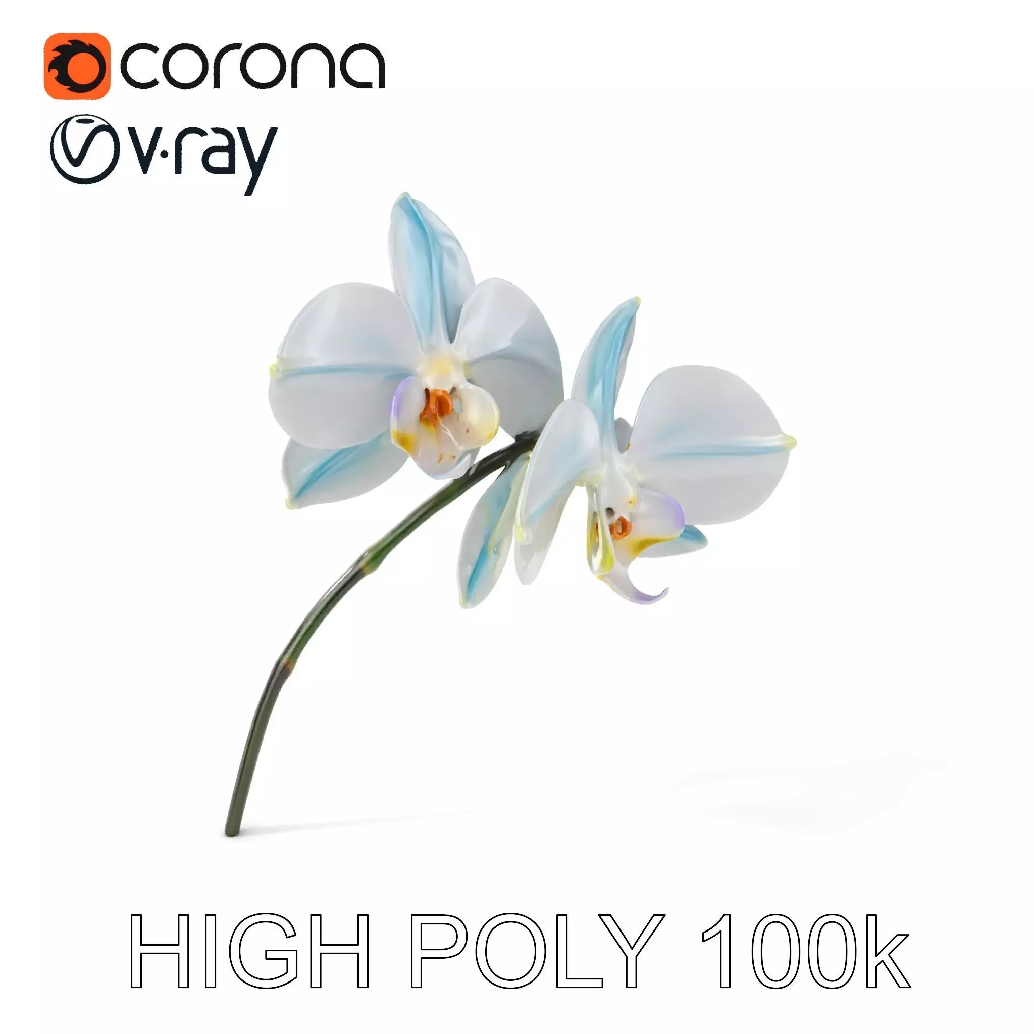 White Orchid D Model Pack with Realistic Textures Low-poly 3D model_0