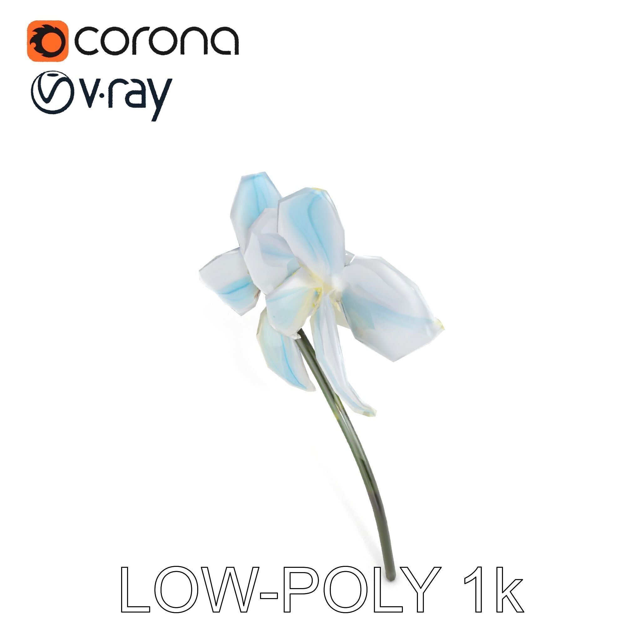 White Orchid D Model Pack with Realistic Textures Low-poly 3D model_9