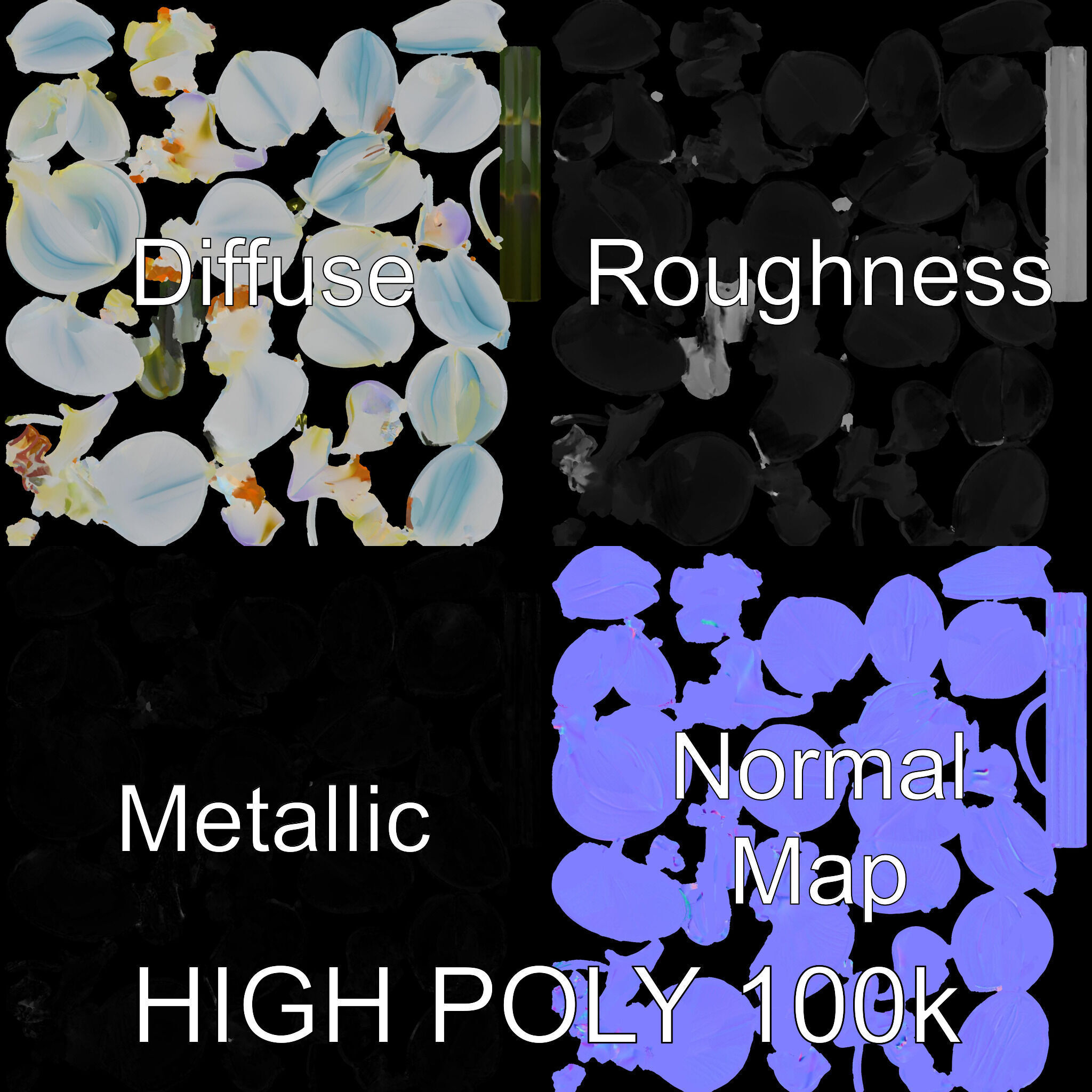 White Orchid D Model Pack with Realistic Textures Low-poly 3D model_3