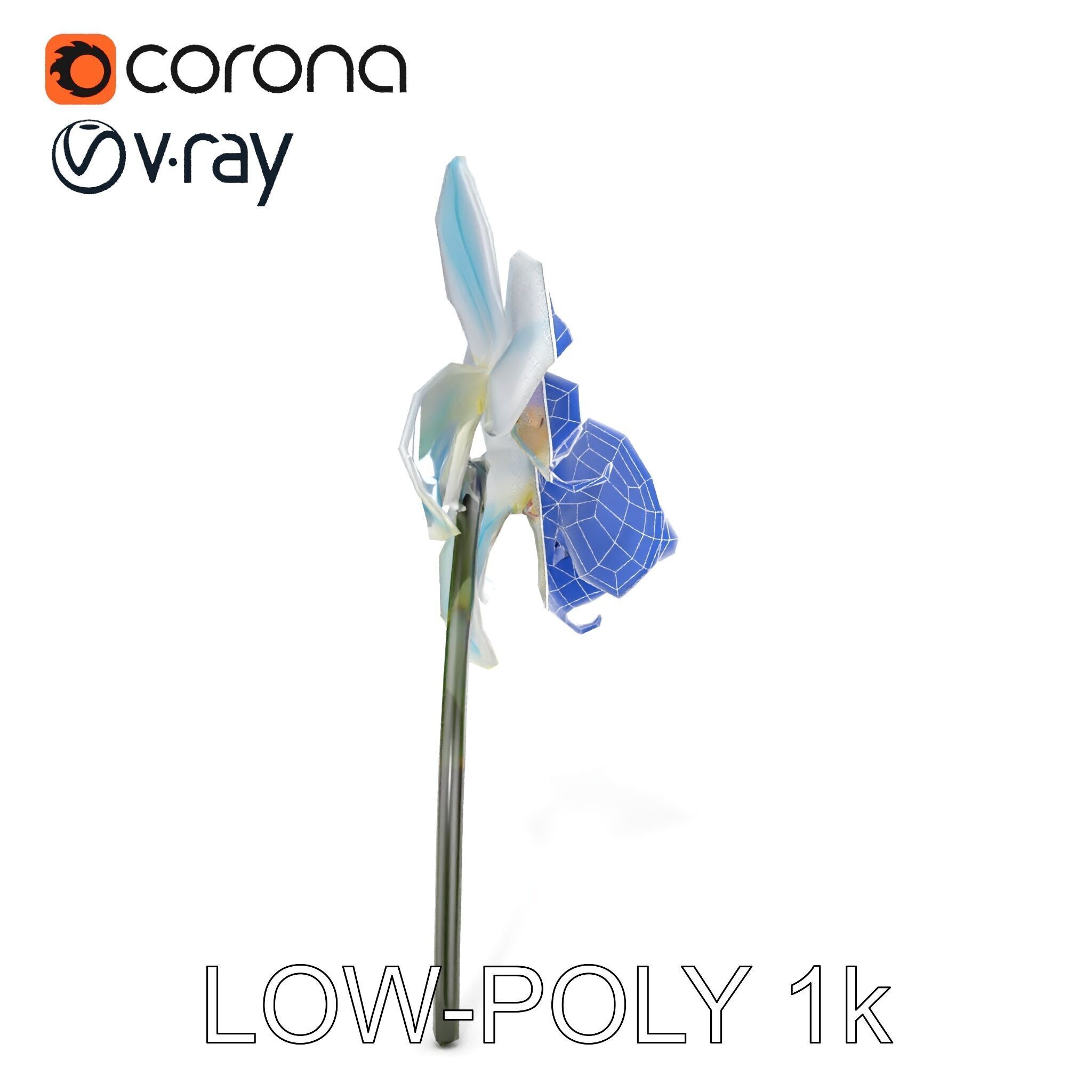 White Orchid D Model Pack with Realistic Textures Low-poly 3D model_31