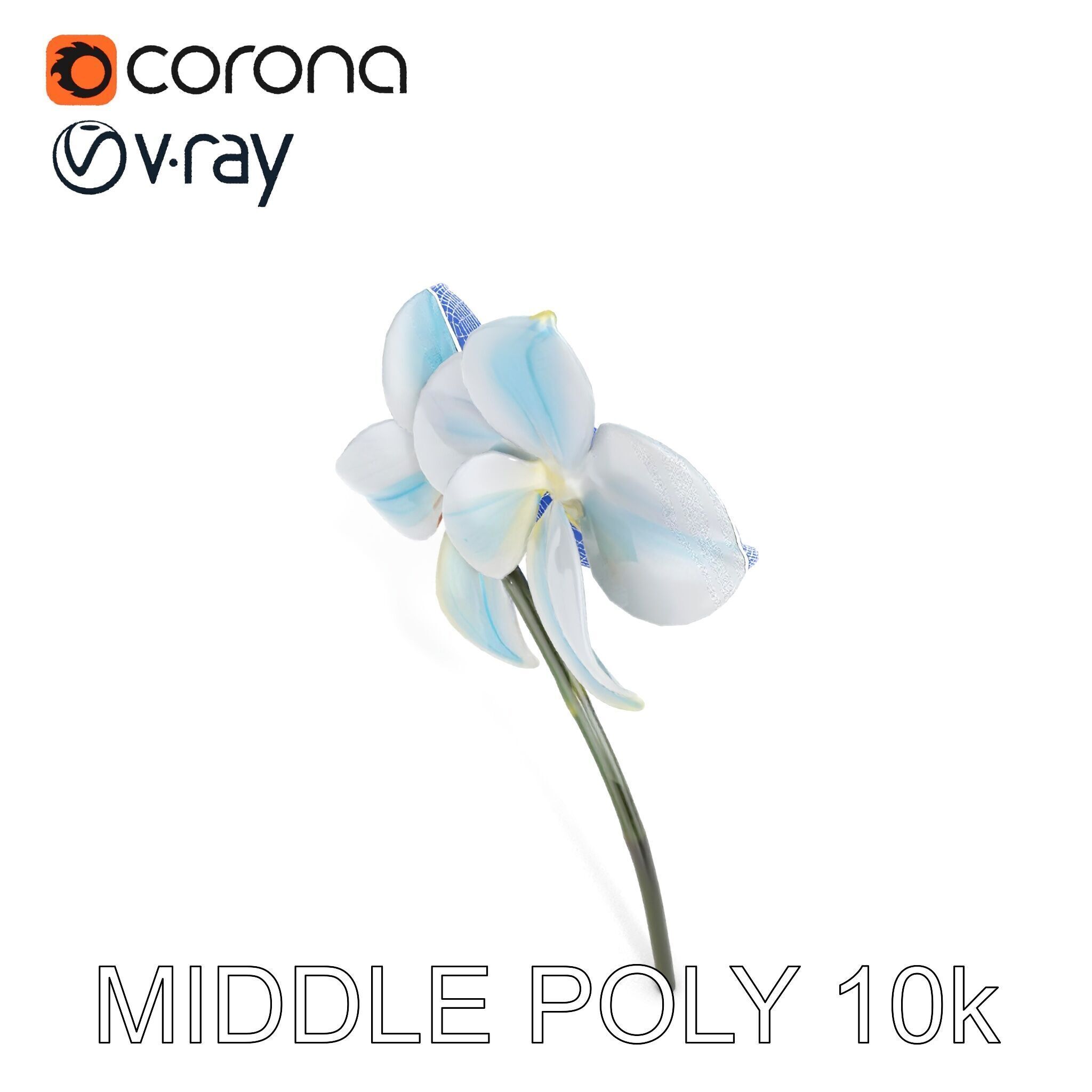 White Orchid D Model Pack with Realistic Textures Low-poly 3D model_19