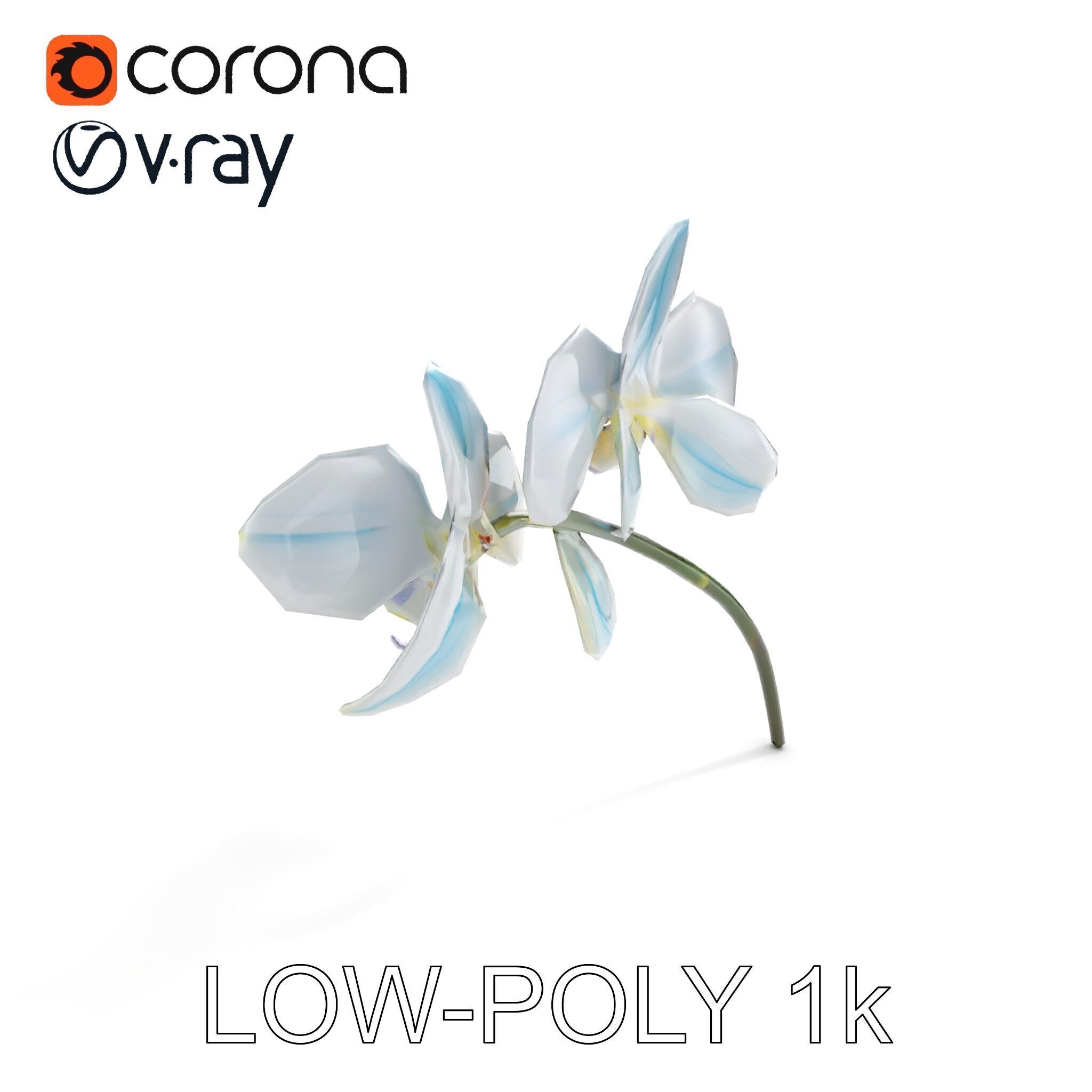 White Orchid D Model Pack with Realistic Textures Low-poly 3D model_20