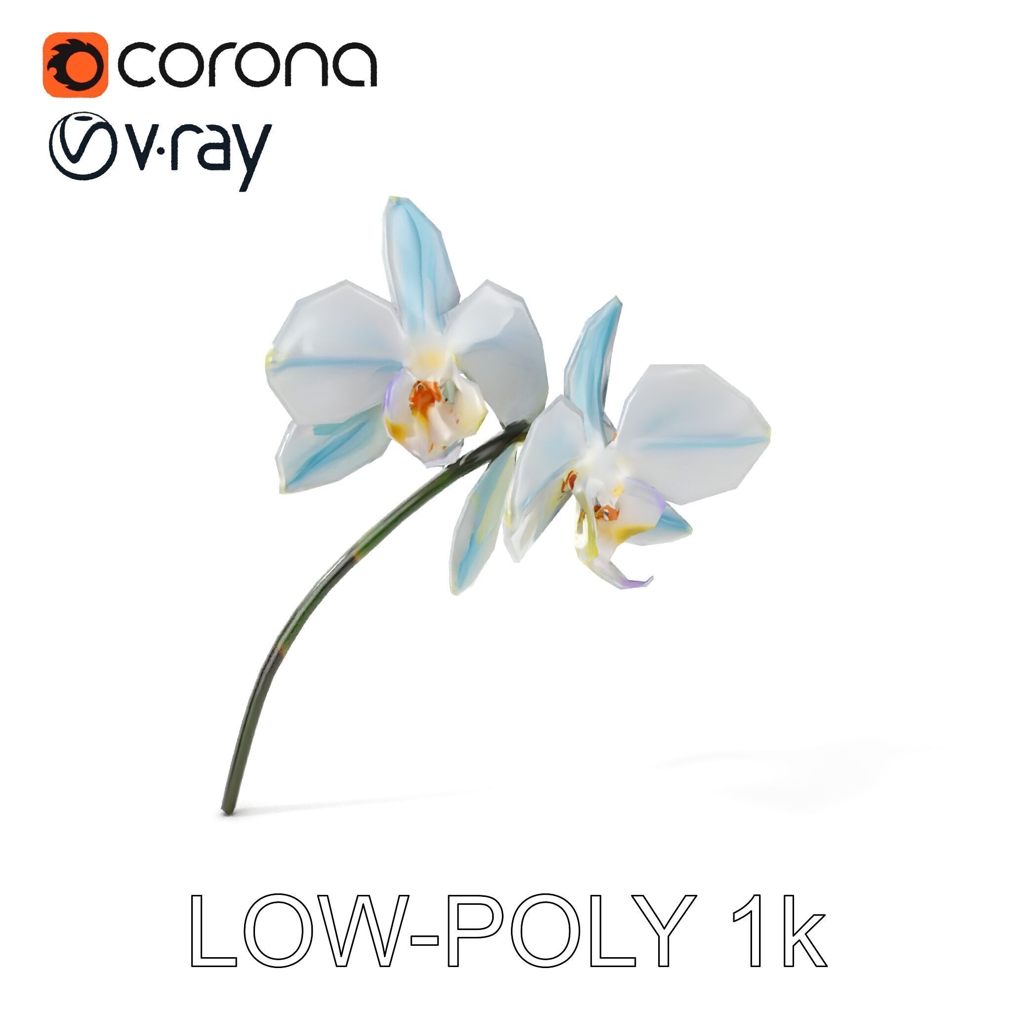 White Orchid D Model Pack with Realistic Textures Low-poly 3D model_7