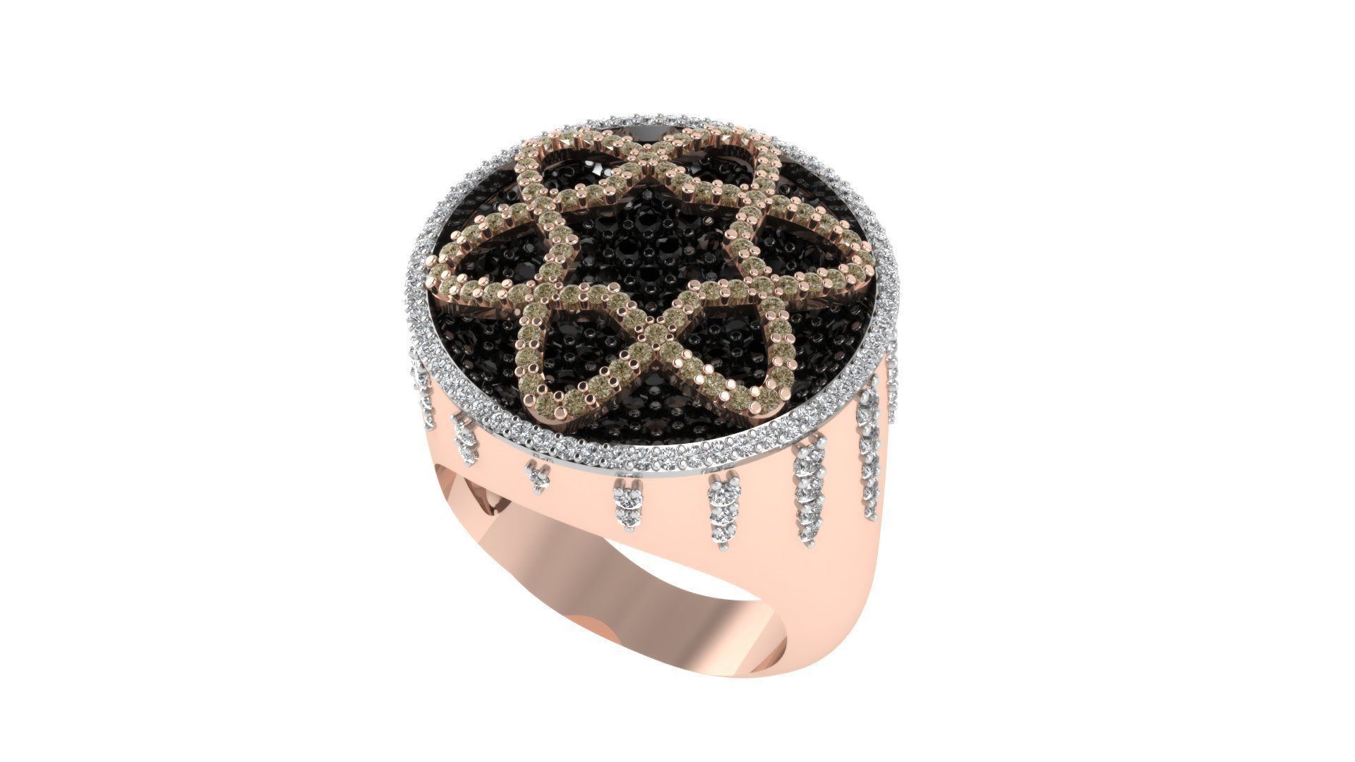 RING AF 007 3D print model_15