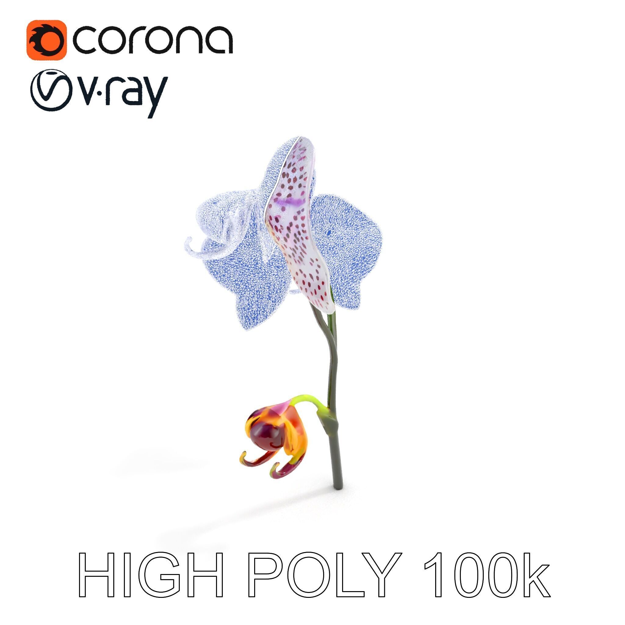 Purple Orchid model pack with detailed petals Low-poly 3D model_27