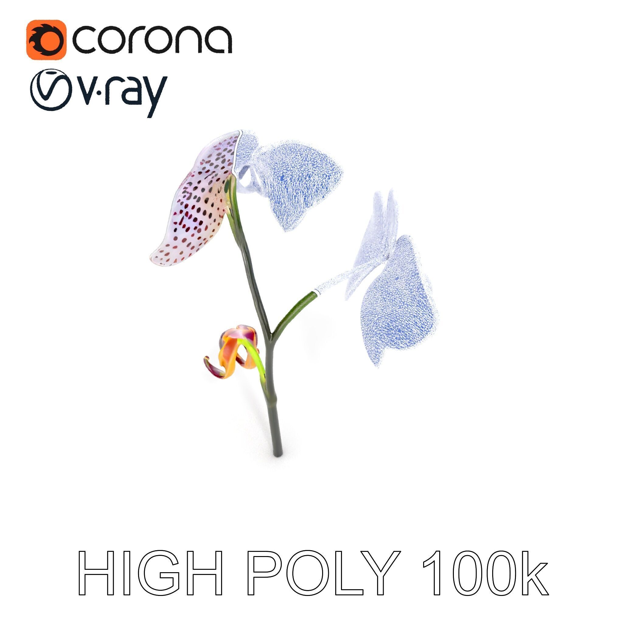 Purple Orchid model pack with detailed petals Low-poly 3D model_25