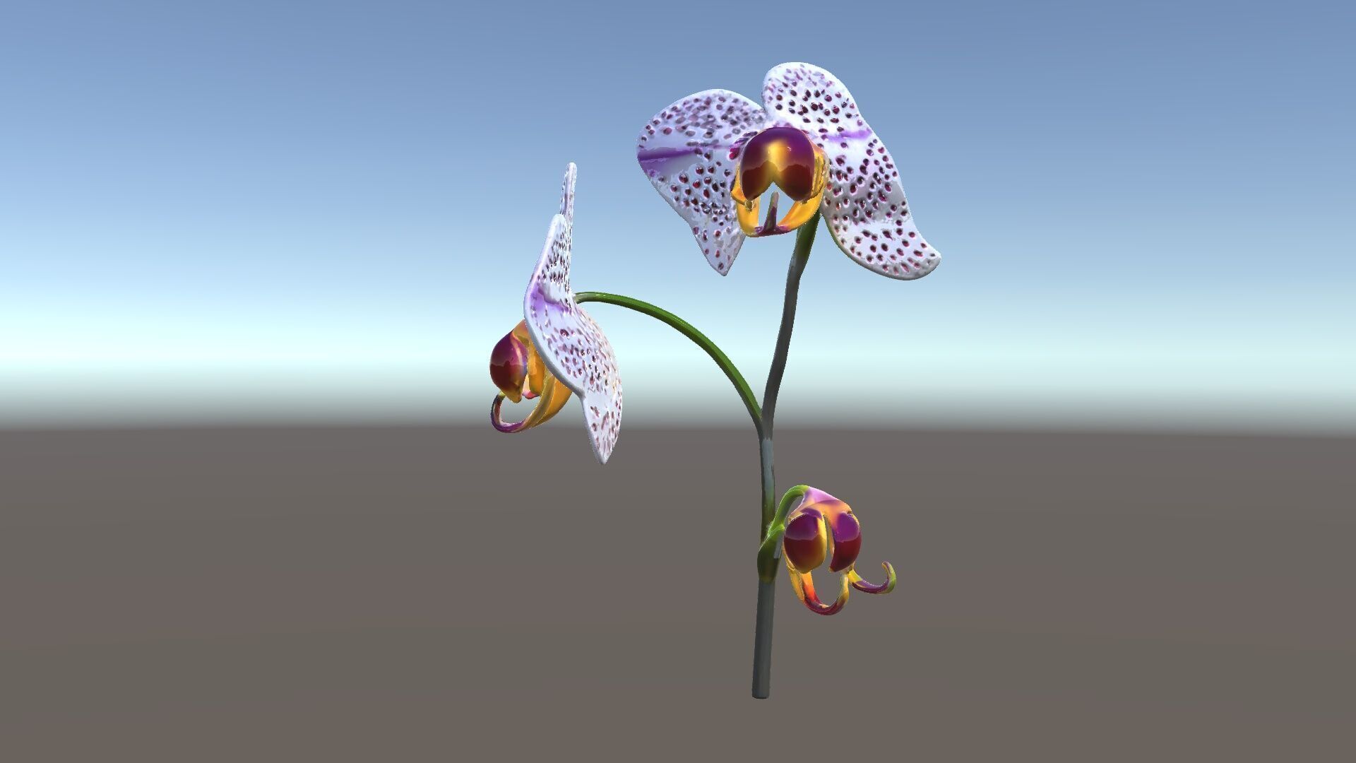 Purple Orchid model pack with detailed petals Low-poly 3D model_5