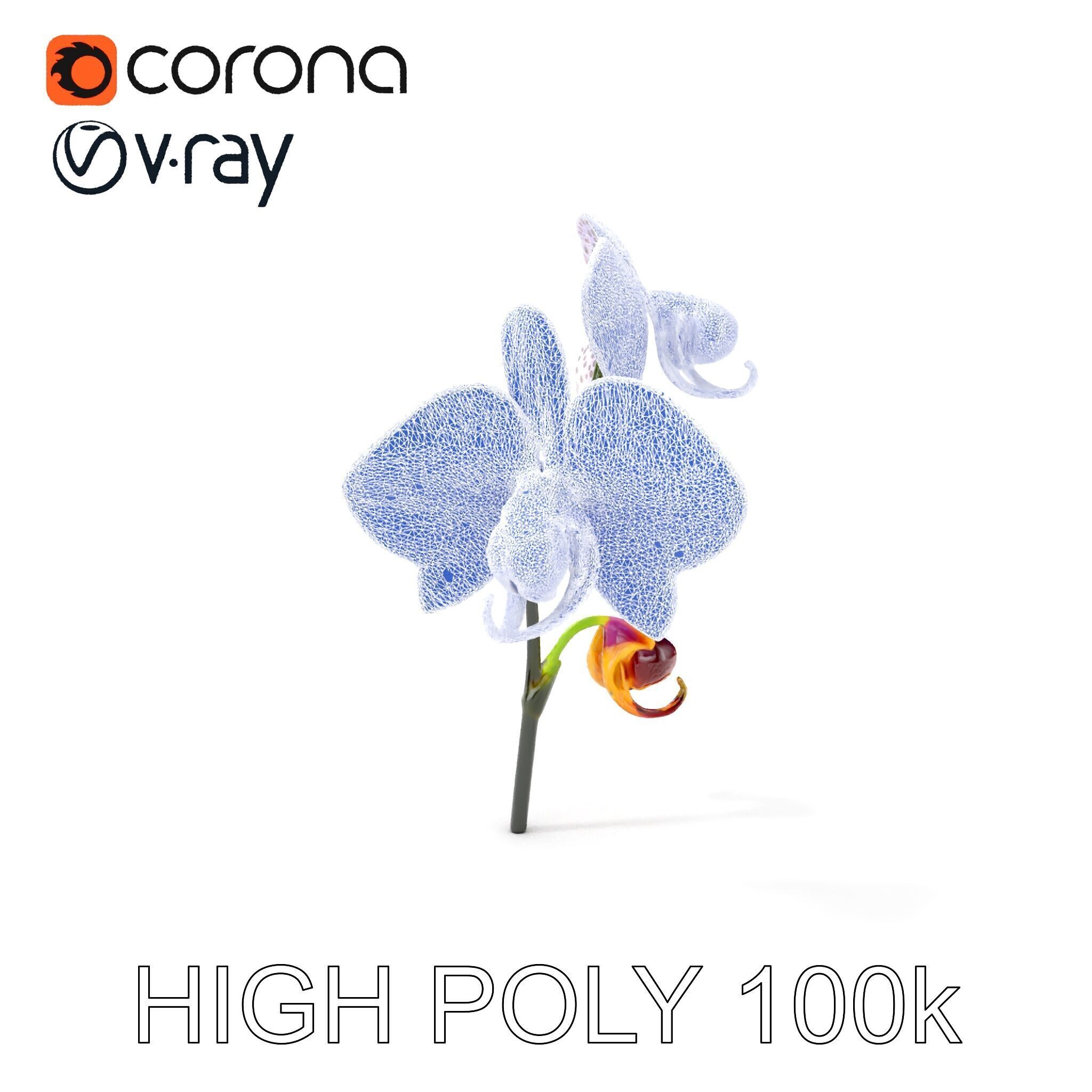 Purple Orchid model pack with detailed petals Low-poly 3D model_4