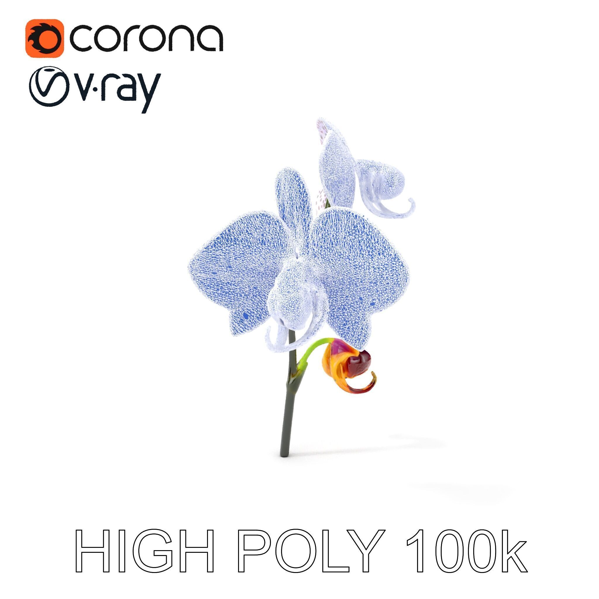 Purple Orchid model pack with detailed petals Low-poly 3D model_21