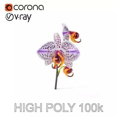 Purple Orchid model pack with detailed petals Low-poly 3D model