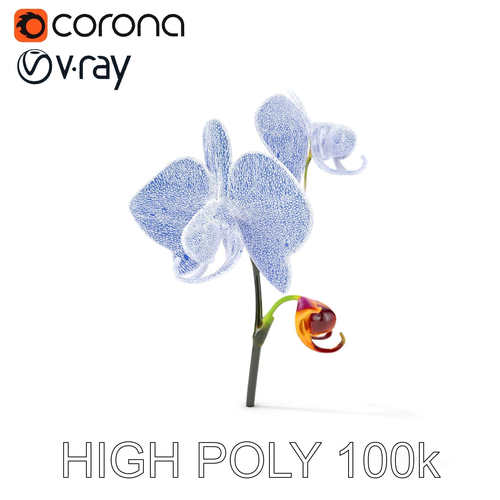 Purple Orchid model pack with detailed petals Low-poly 3D model_30