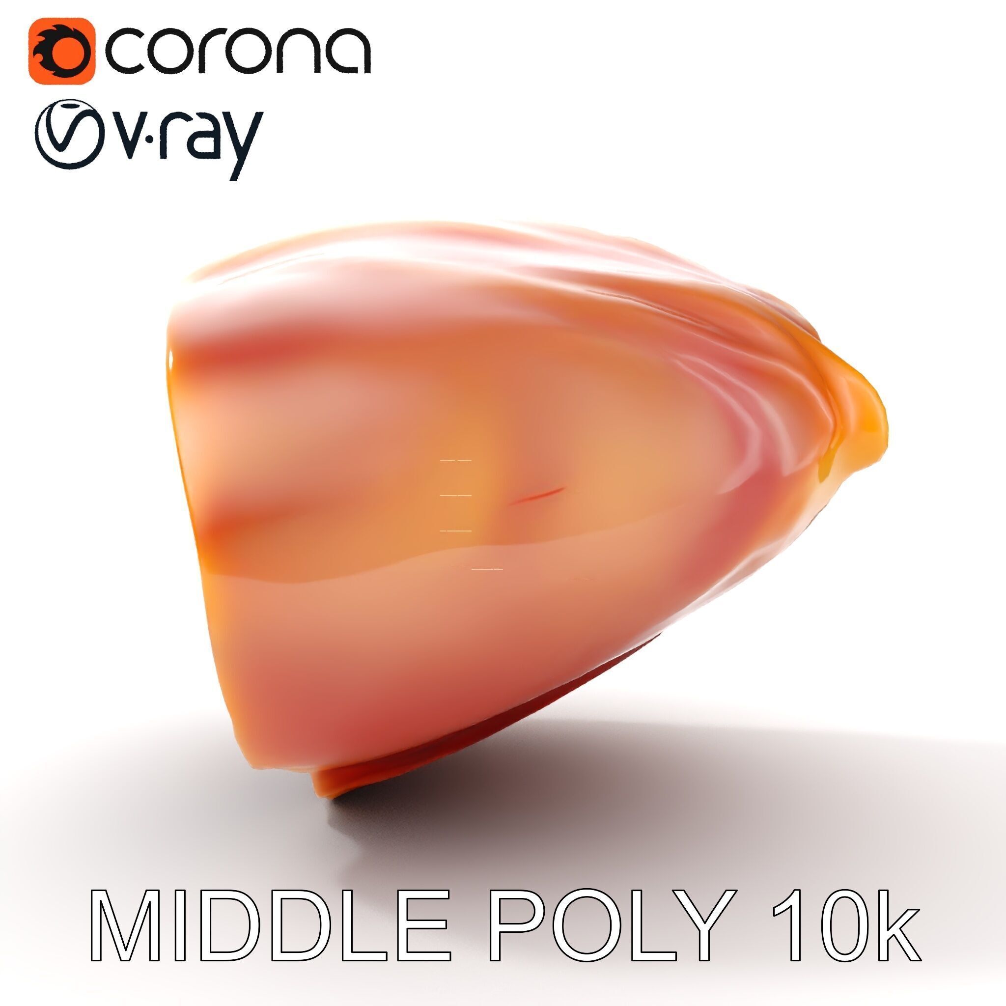 Realistic Meat Cut D Model Pack for Culinary Visualization Low-poly 3D model_14