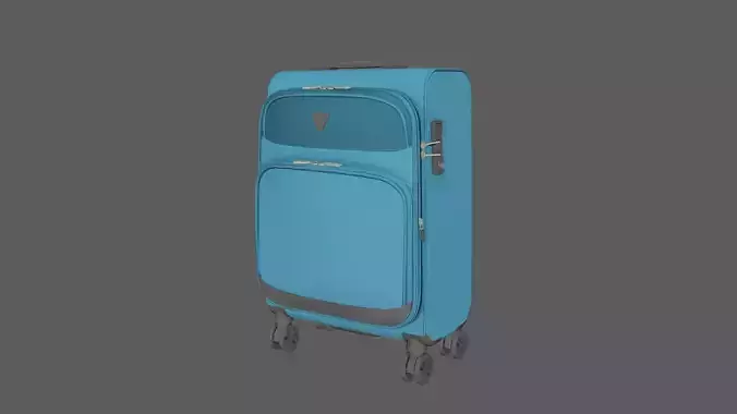 cloth trolley bag