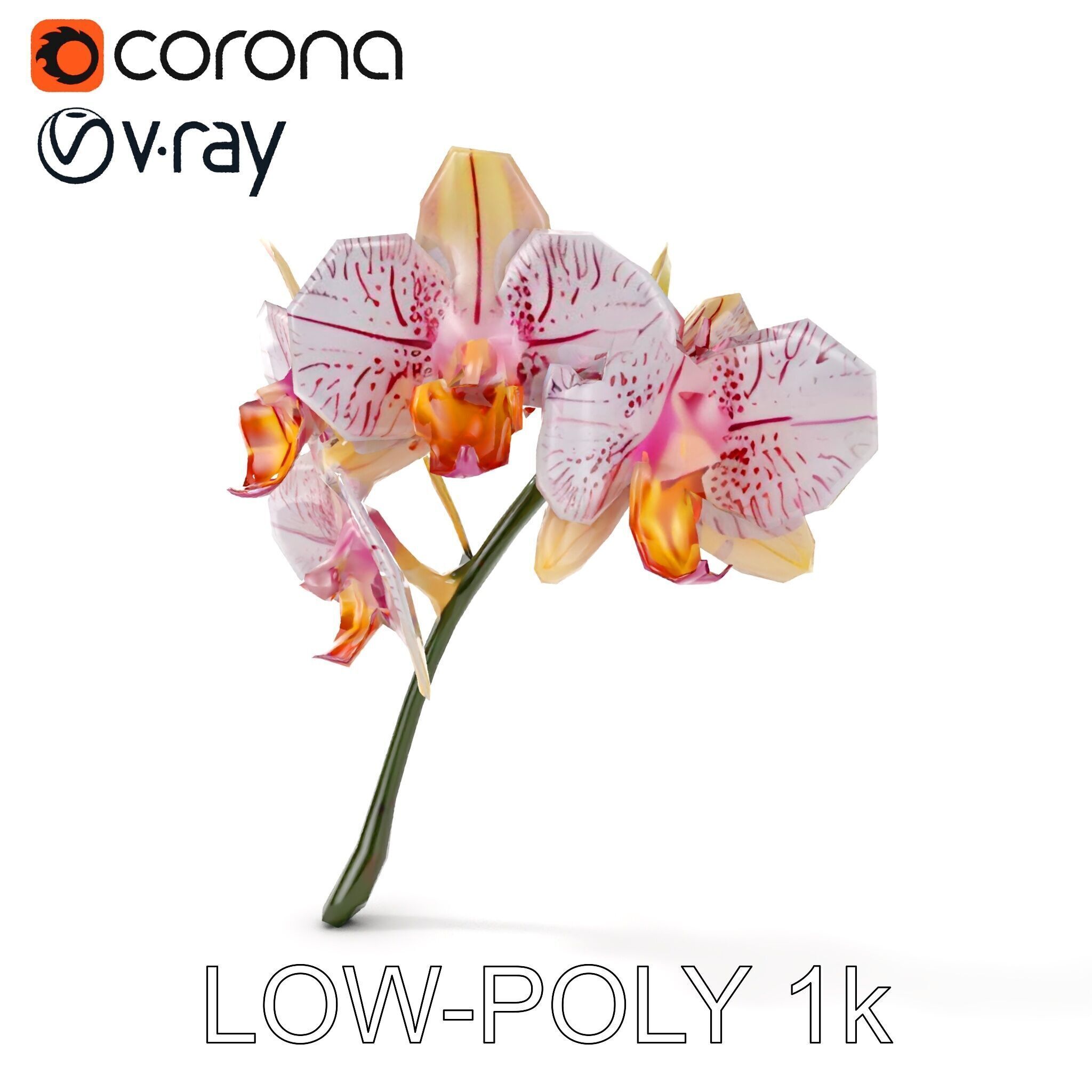 Orchid Flower D Model Pack Low-poly 3D model_14