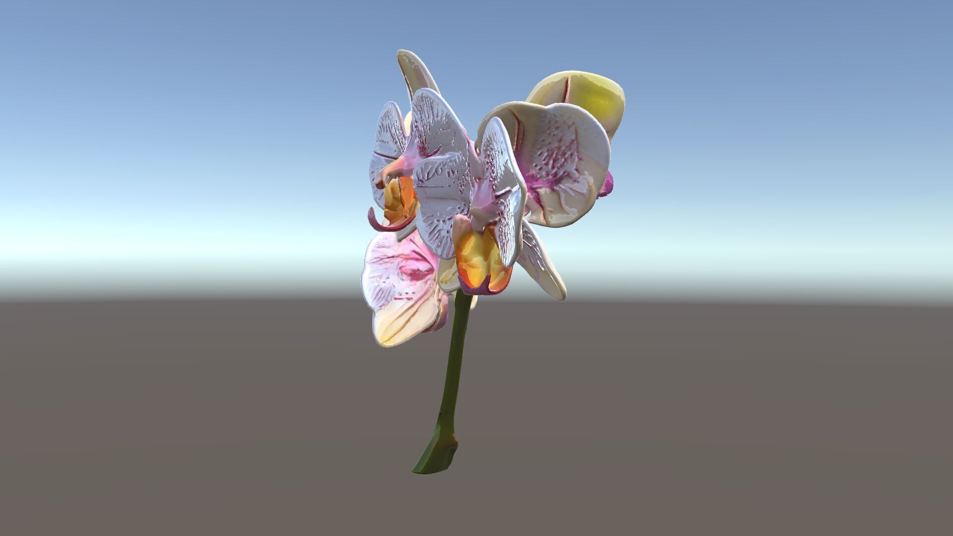 Orchid Flower D Model Pack Low-poly 3D model_5