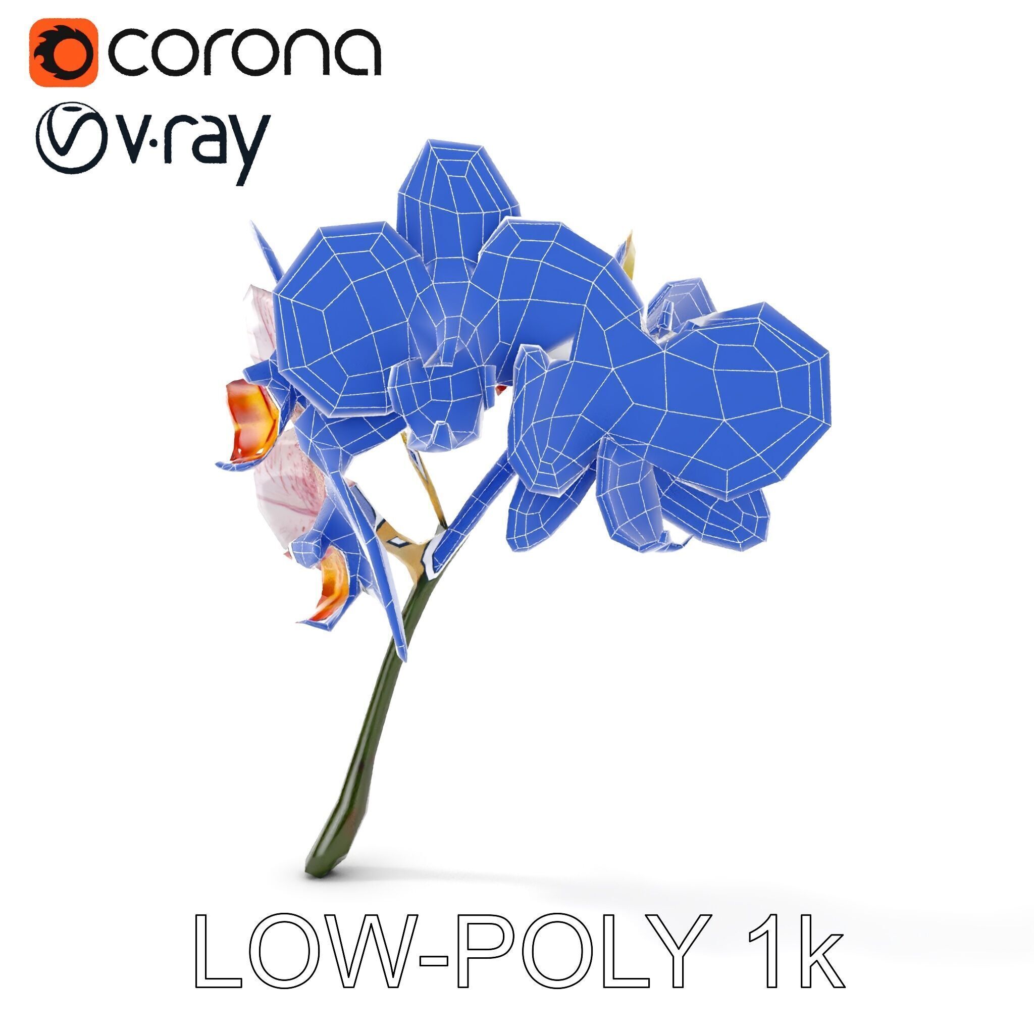 Orchid Flower D Model Pack Low-poly 3D model_22