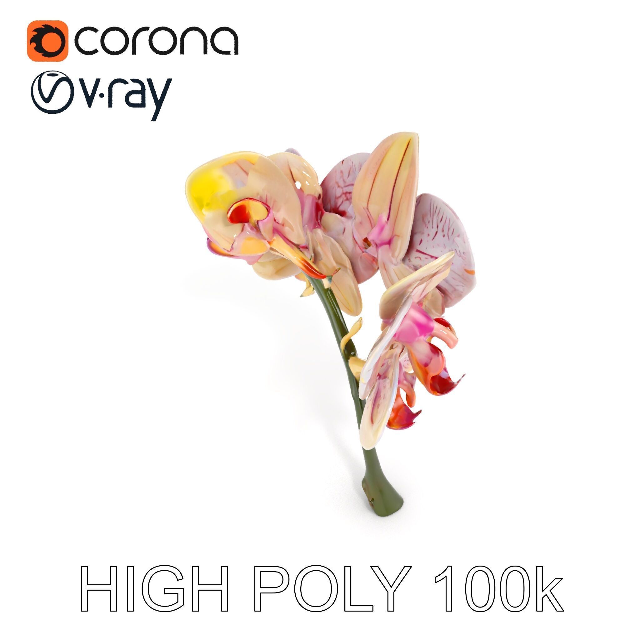 Orchid Flower D Model Pack Low-poly 3D model_12