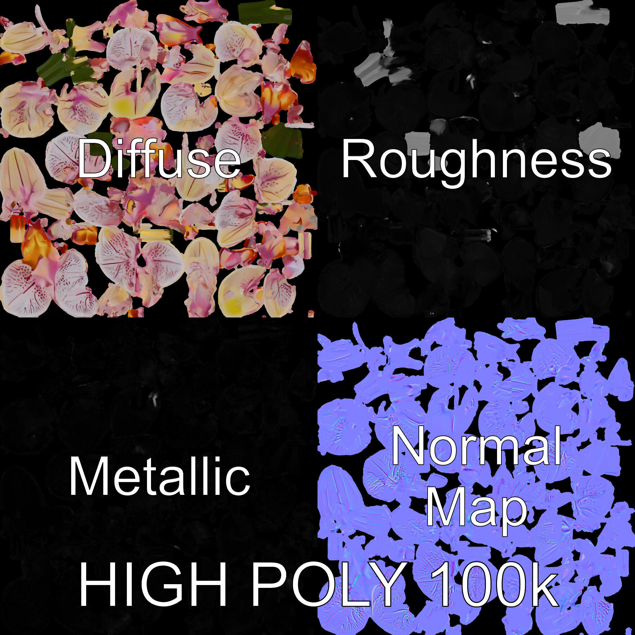 Orchid Flower D Model Pack Low-poly 3D model_3