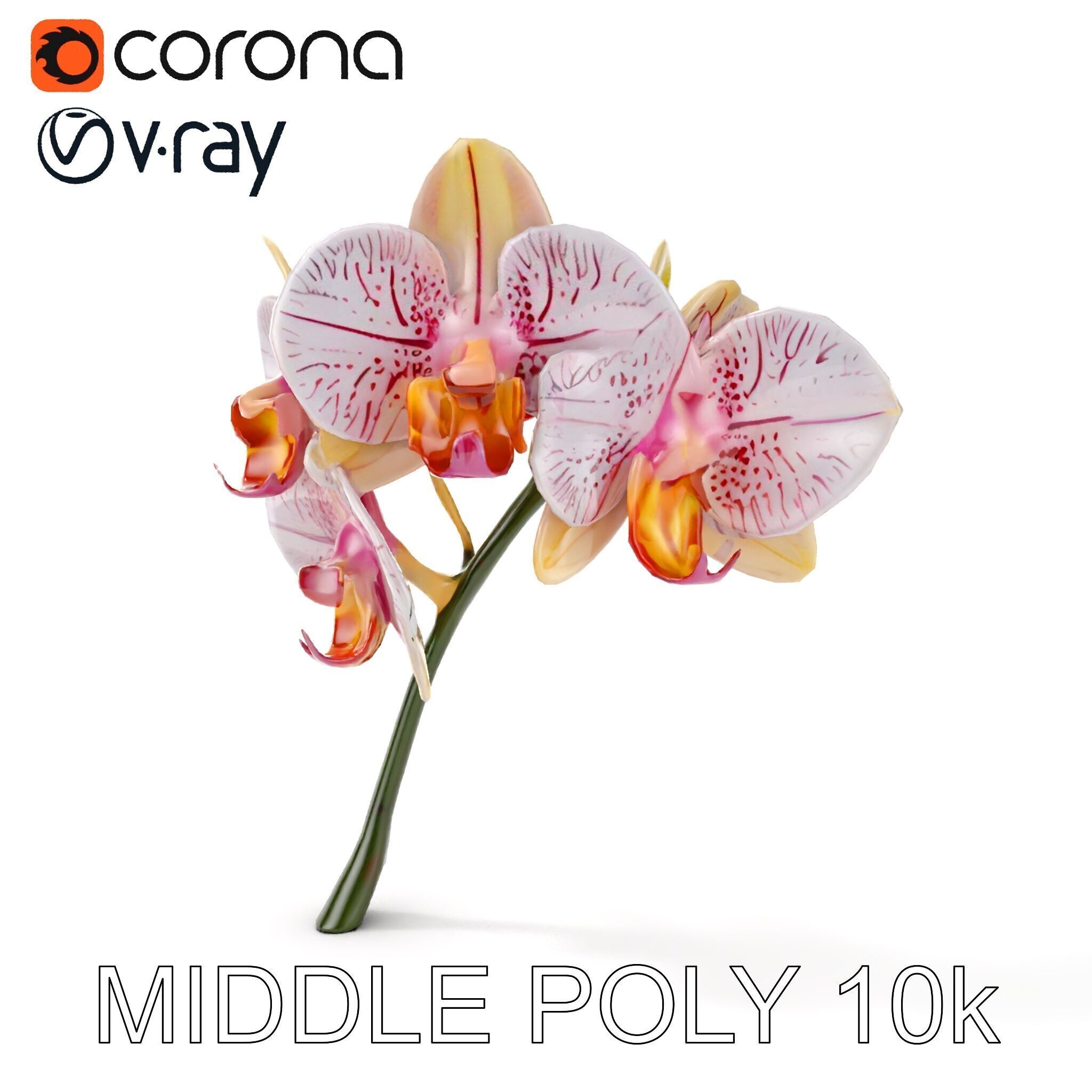 Orchid Flower D Model Pack Low-poly 3D model_15
