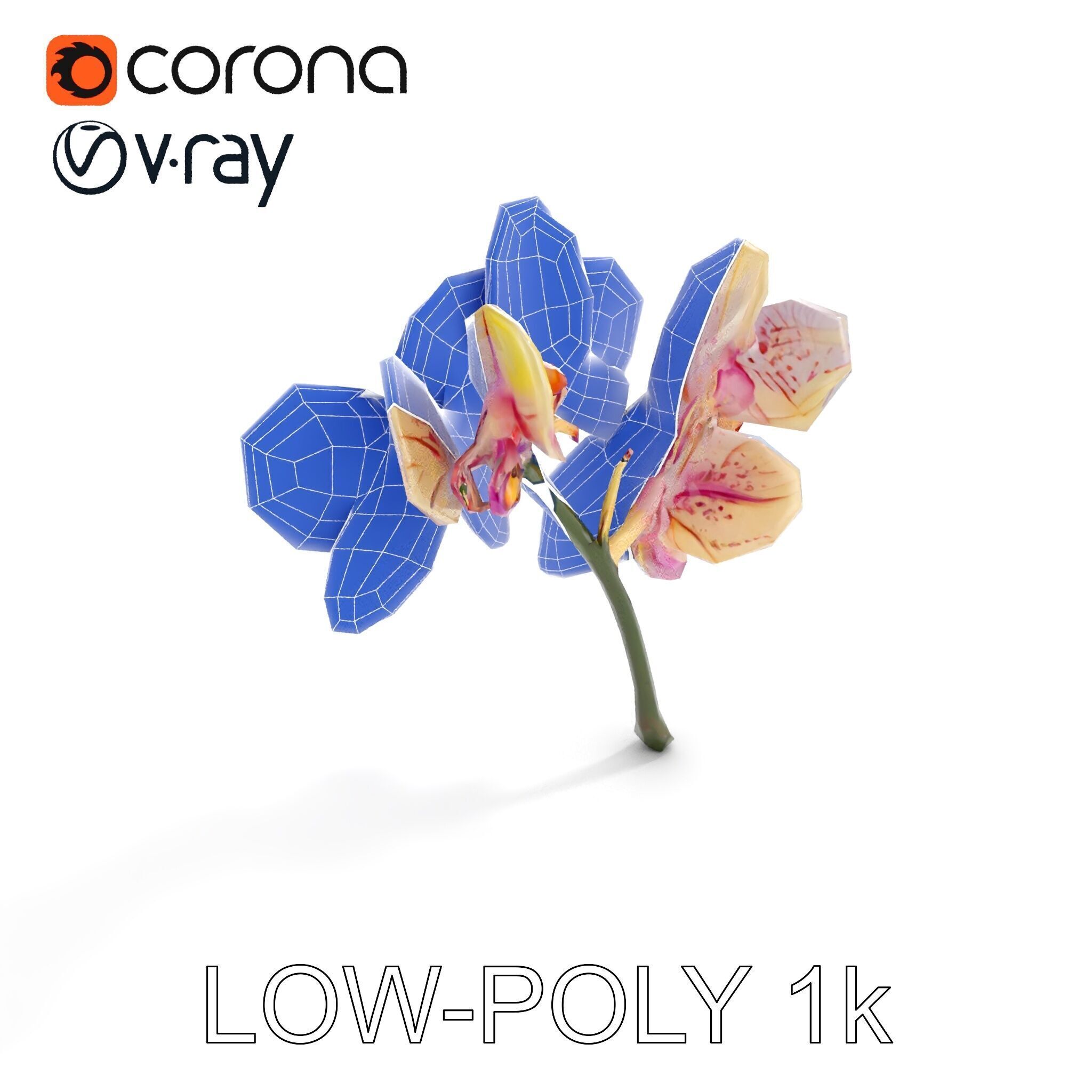 Orchid Flower D Model Pack Low-poly 3D model_28