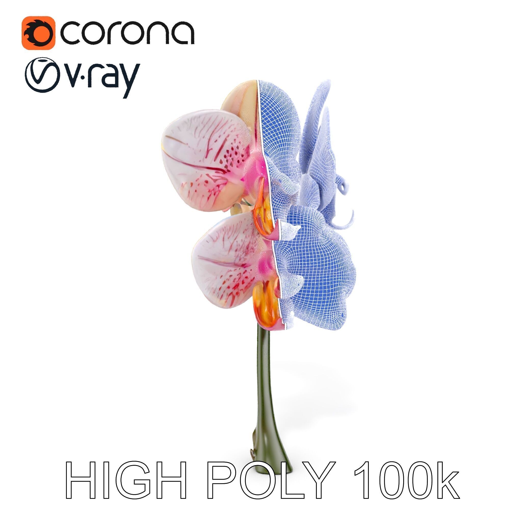 Orchid Flower D Model Pack Low-poly 3D model_20