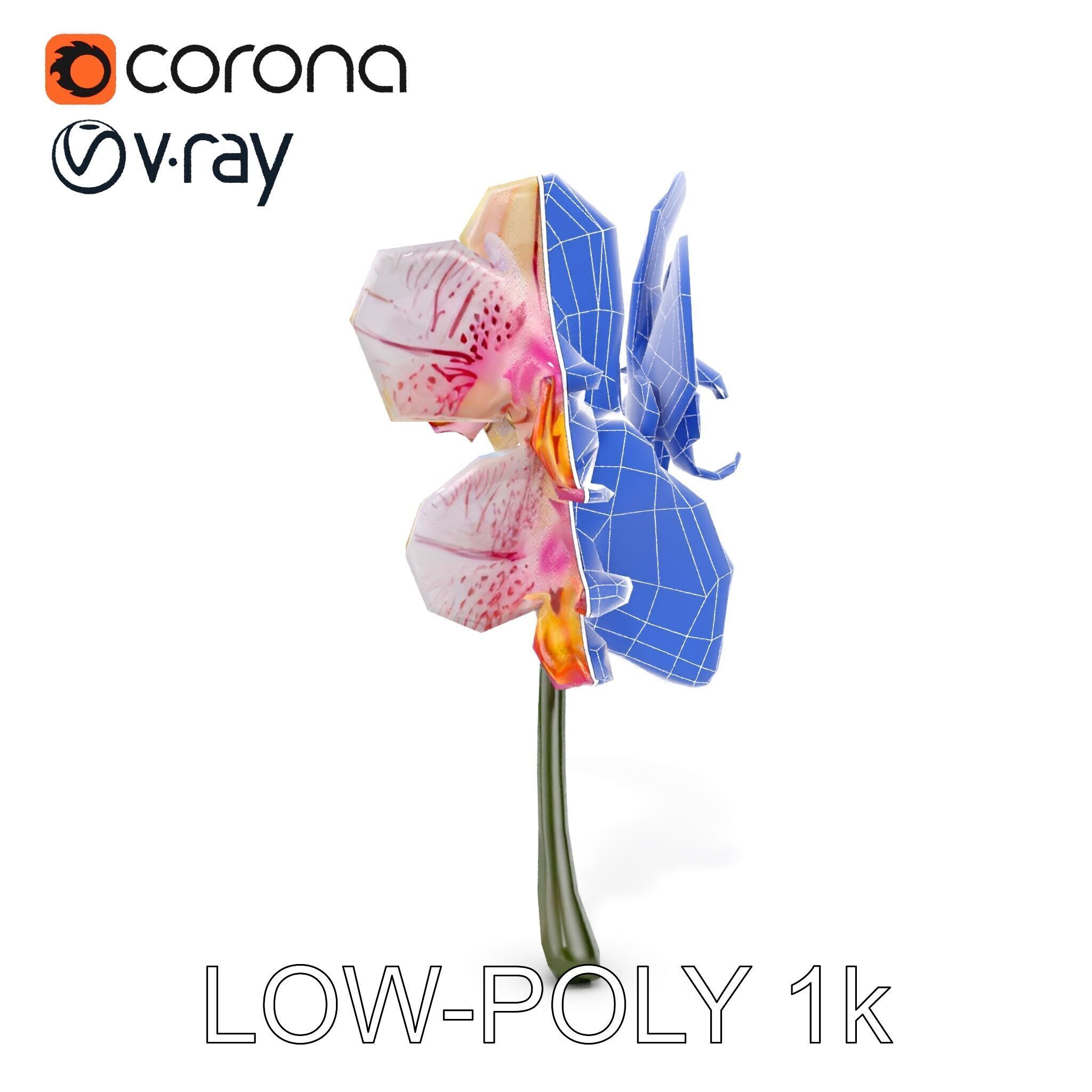 Orchid Flower D Model Pack Low-poly 3D model_31