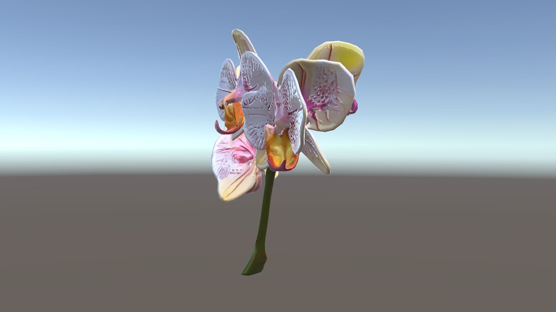 Orchid Flower D Model Pack Low-poly 3D model_33