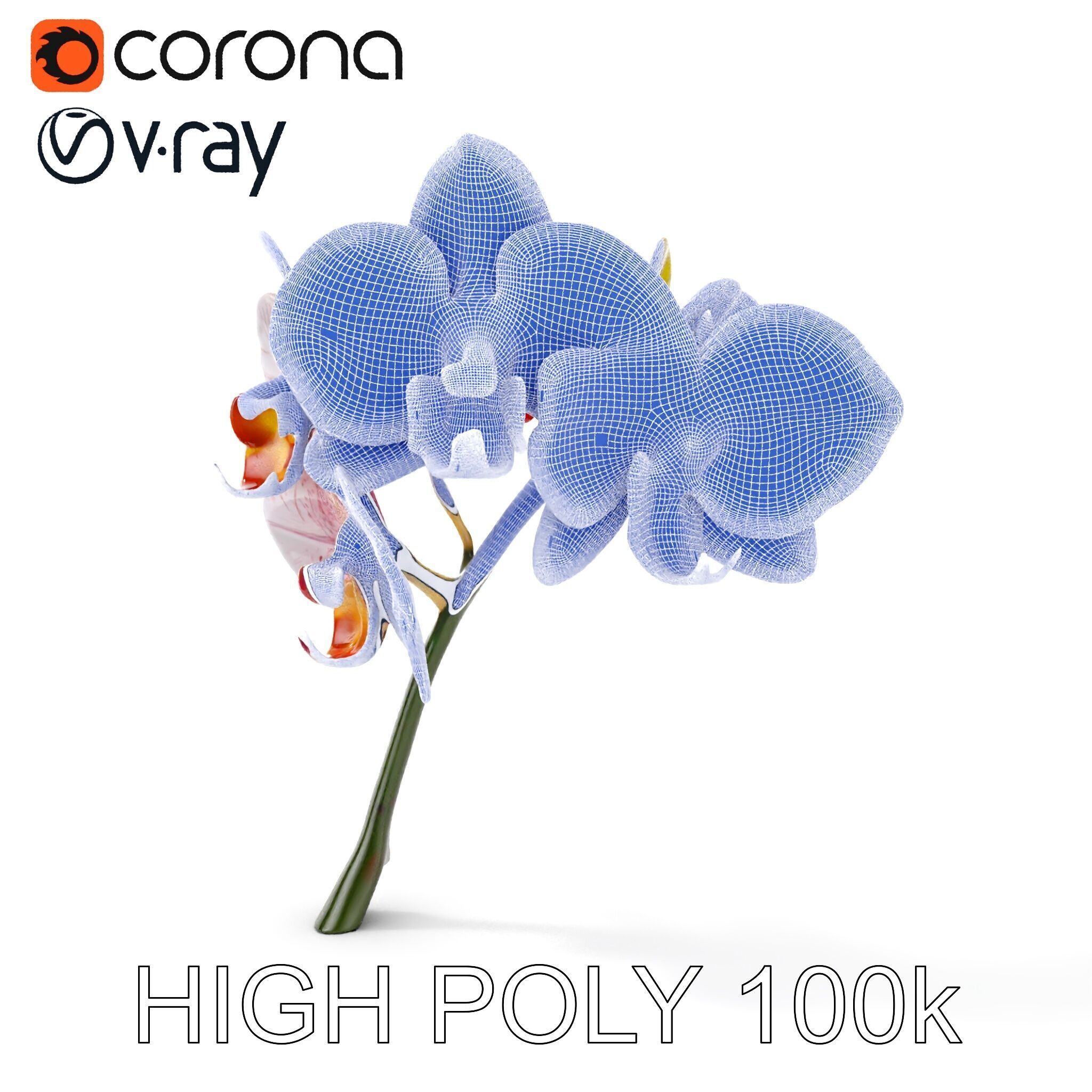 Orchid Flower D Model Pack Low-poly 3D model_35