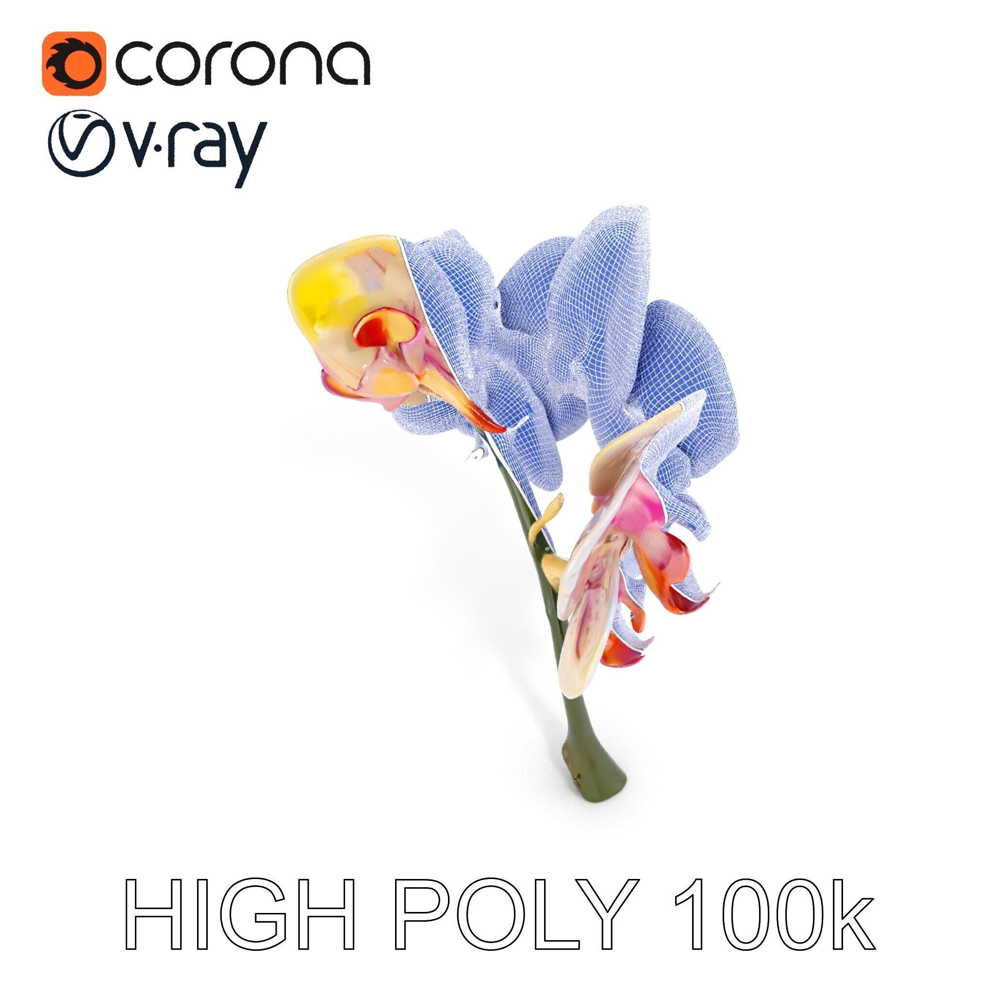 Orchid Flower D Model Pack Low-poly 3D model_23