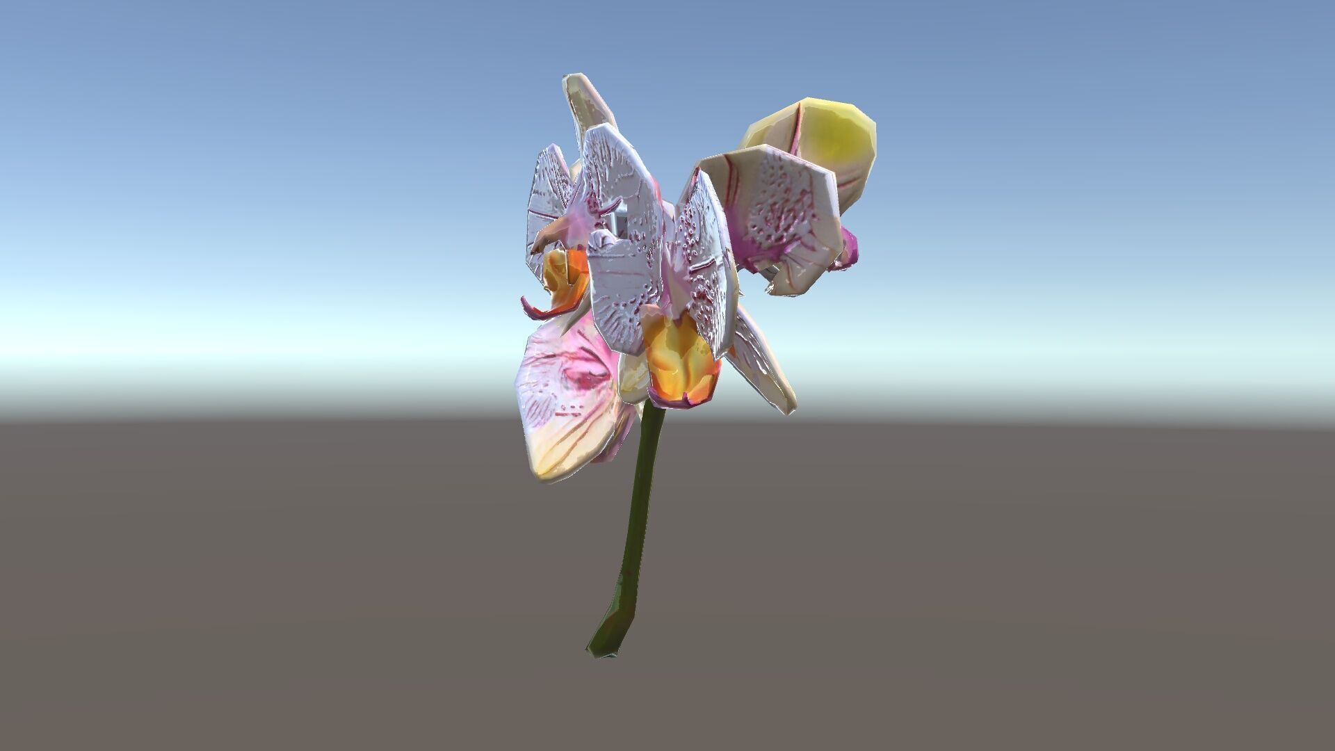 Orchid Flower D Model Pack Low-poly 3D model_34