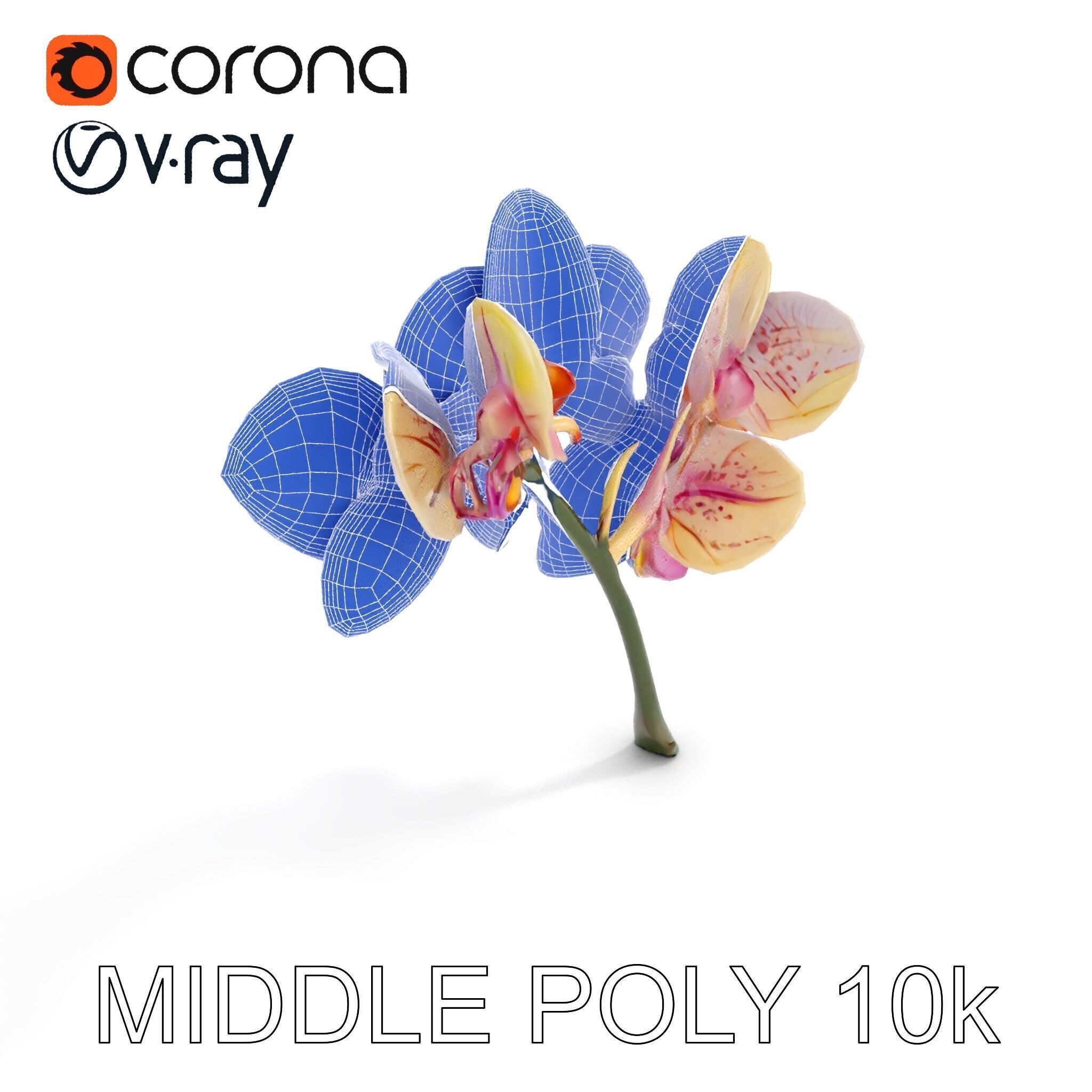 Orchid Flower D Model Pack Low-poly 3D model_27