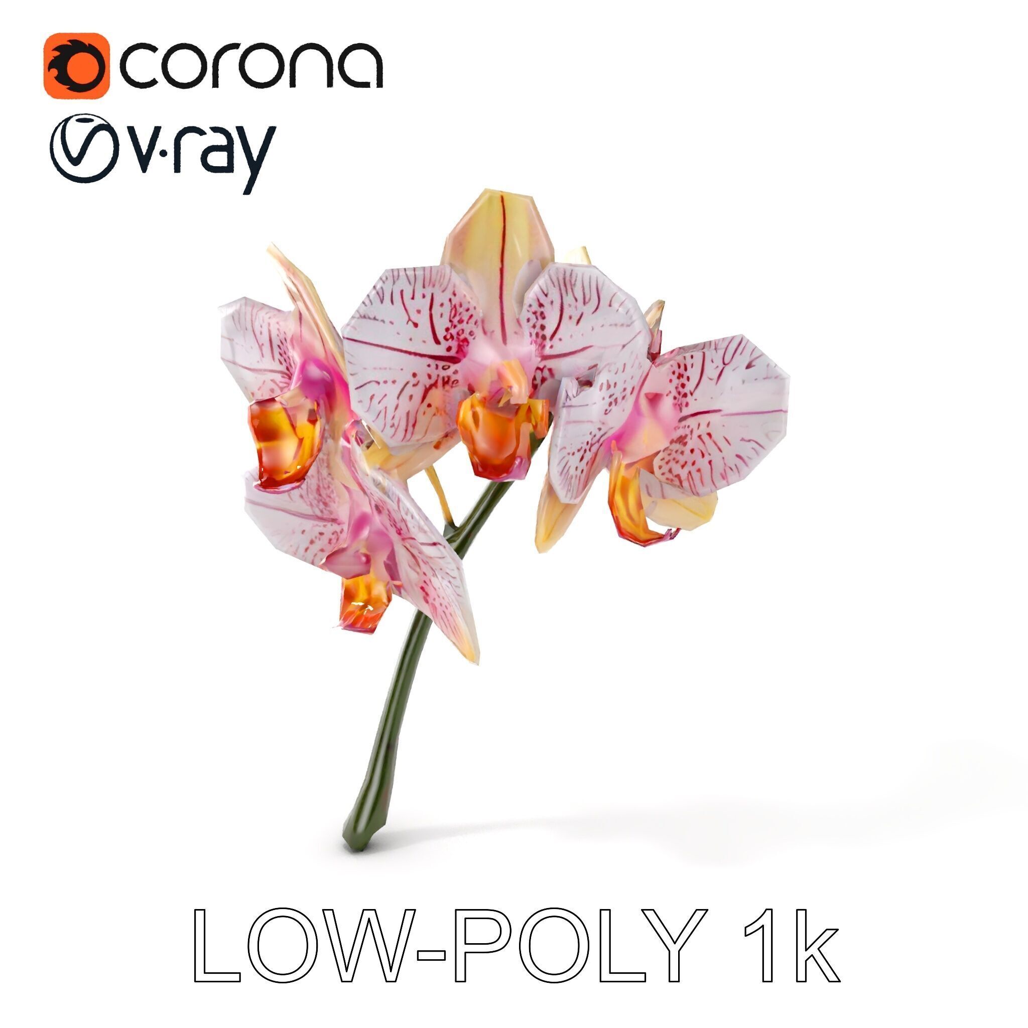 Orchid Flower D Model Pack Low-poly 3D model_9