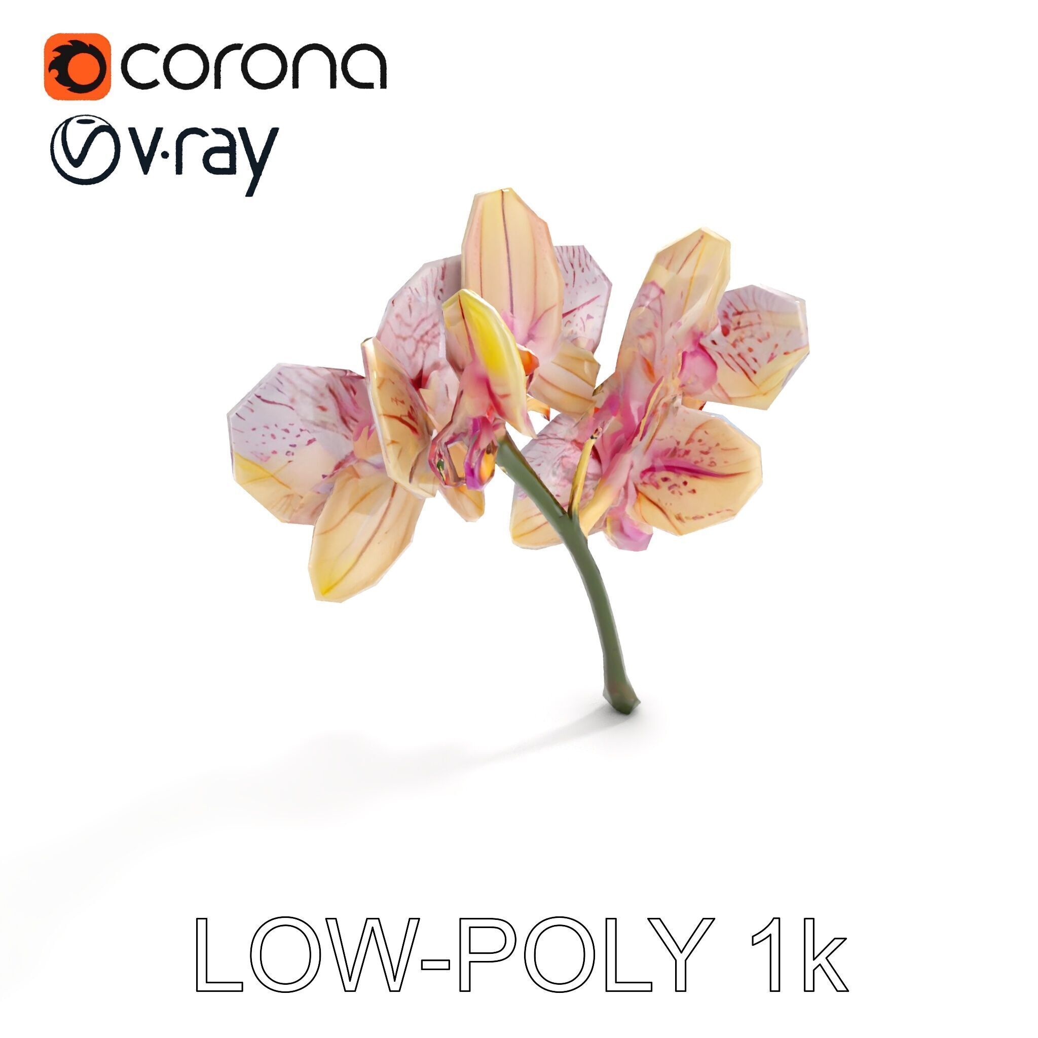 Orchid Flower D Model Pack Low-poly 3D model_7